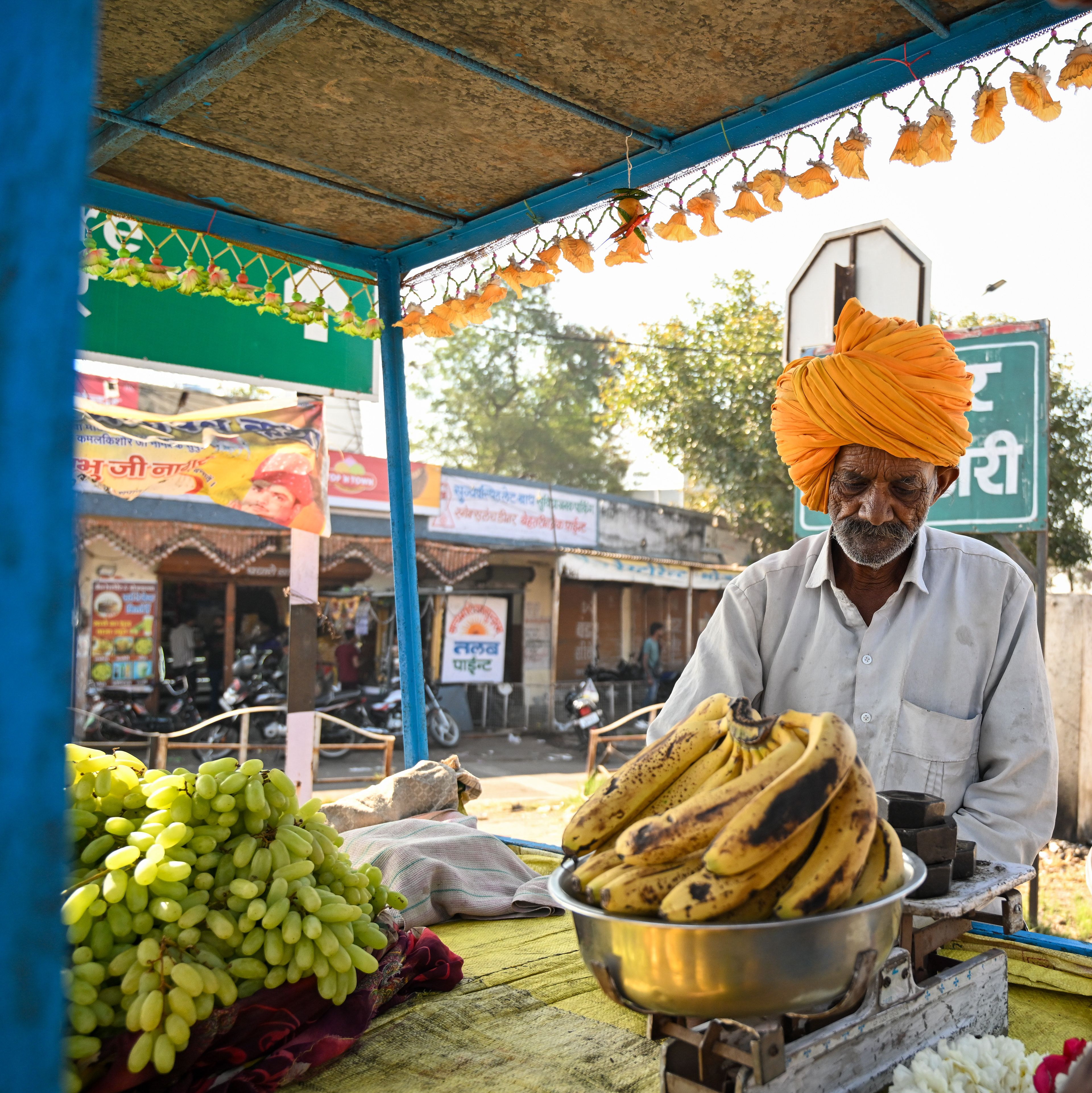 Colorful fruit vendor - India 2025
