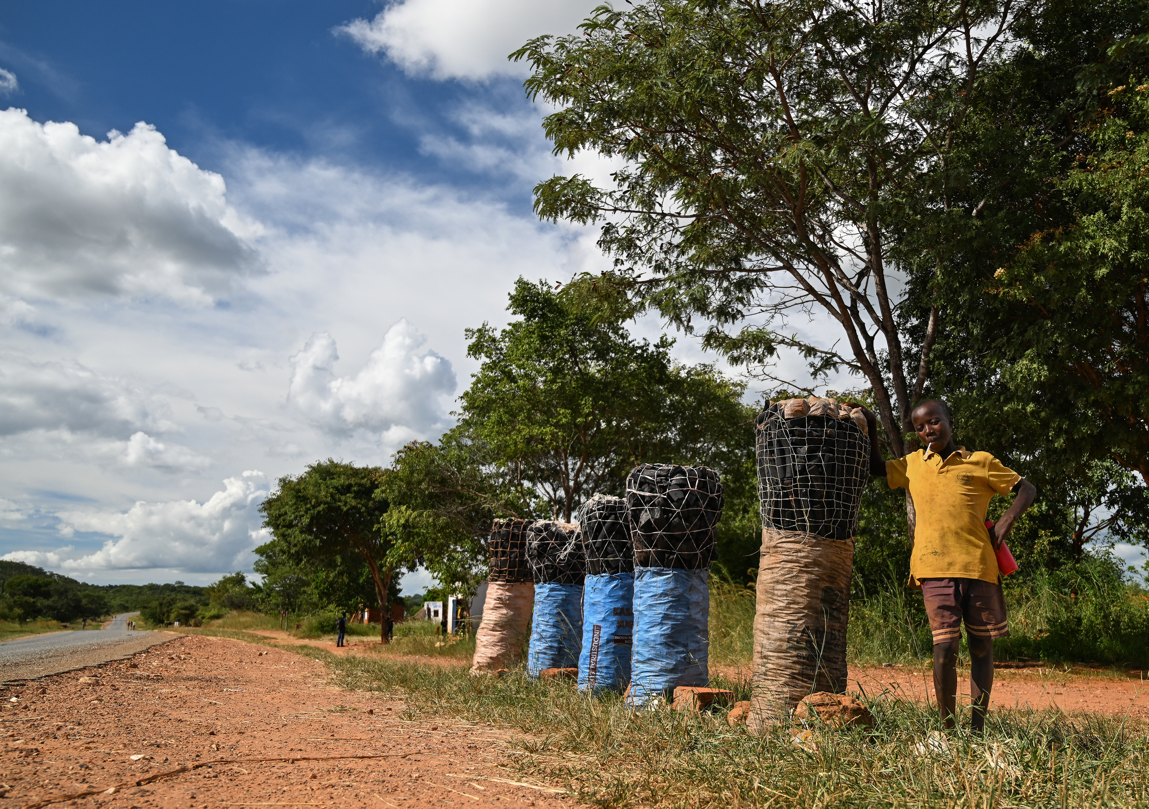 Young man and his charcoal - Zambia 2024