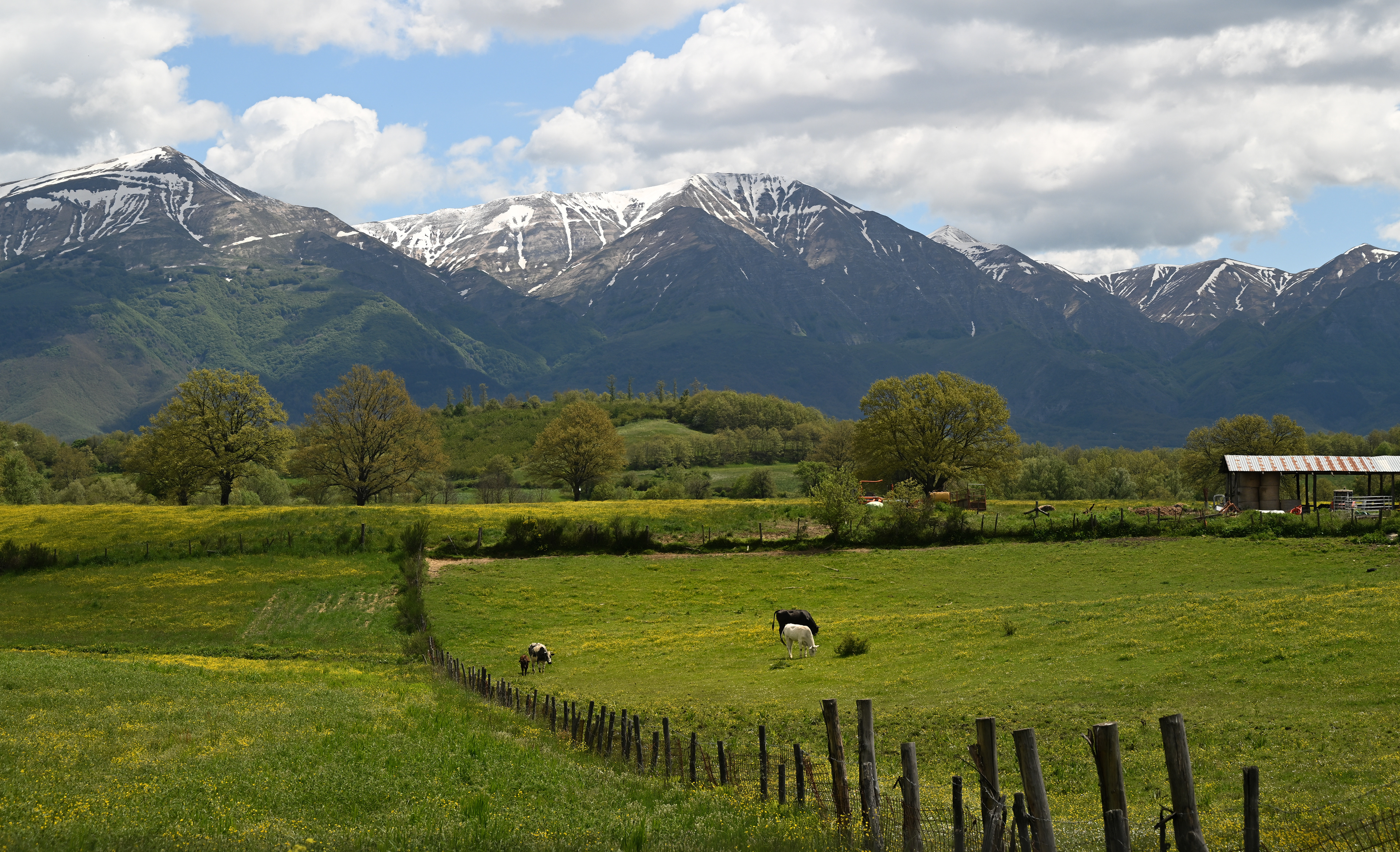 Fields and mountains - Italy 2025