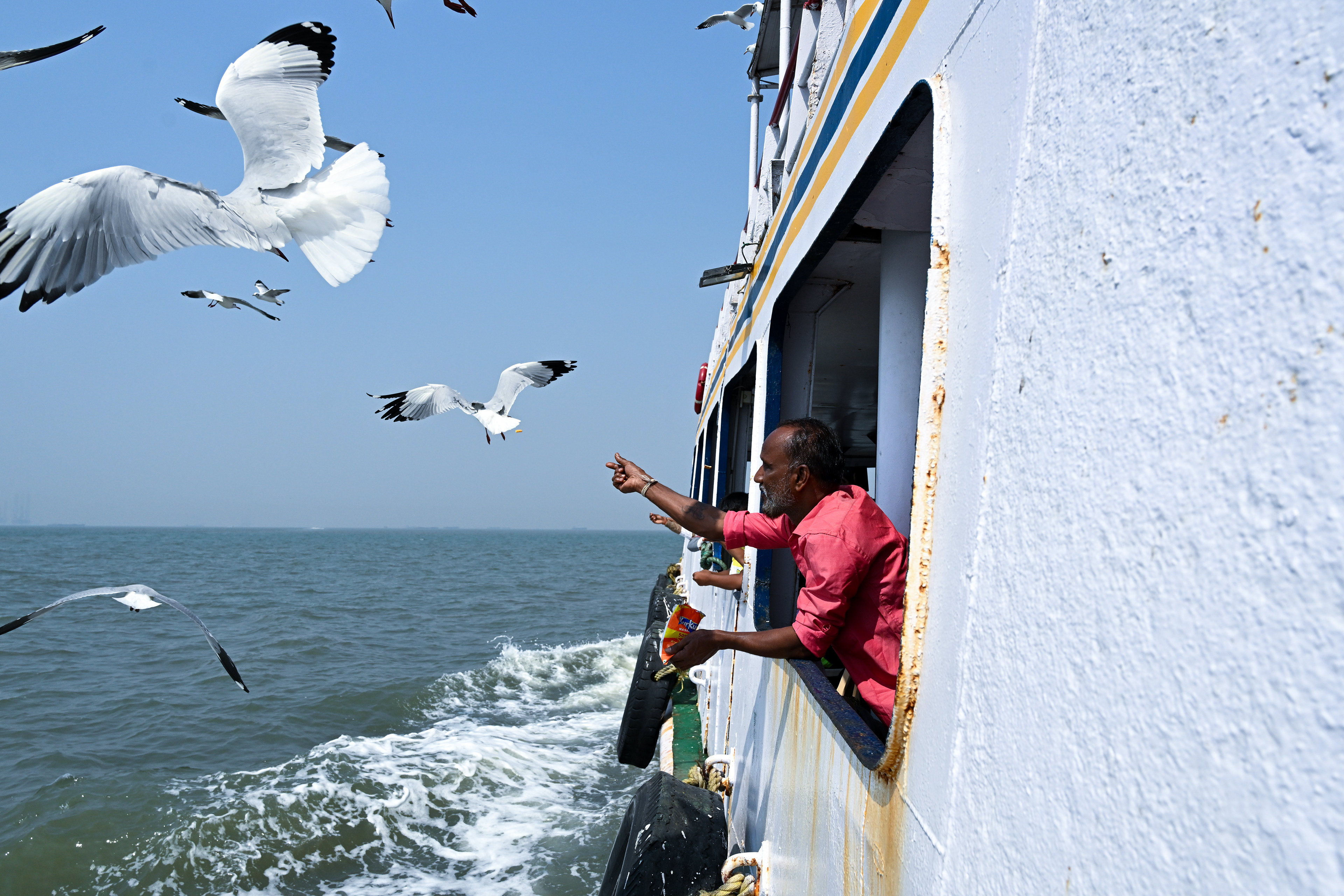 Feeding the gulls on the way to Mumbai - 2025