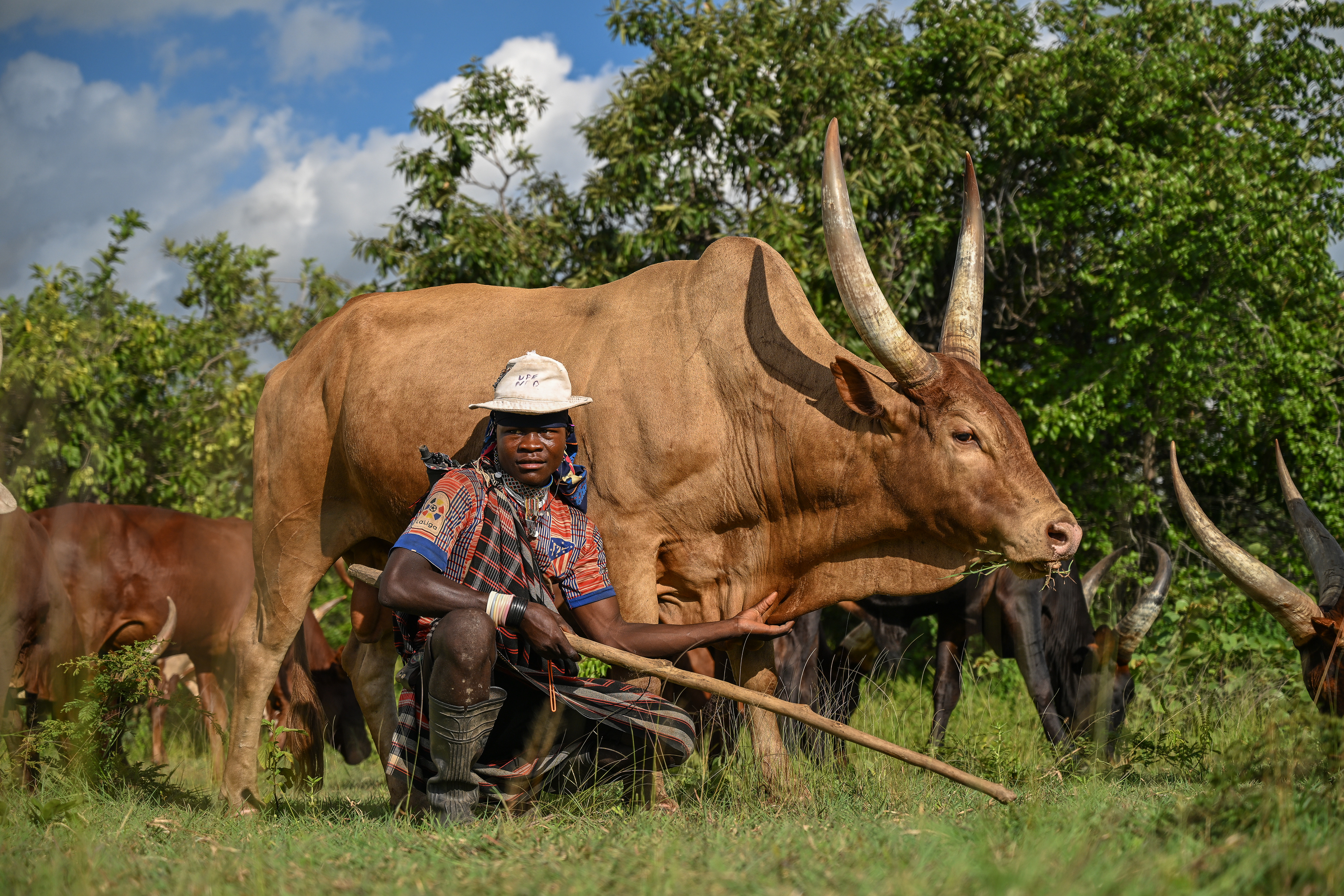 Sukuma man and the largest bull in his herd - Tanzania 2024