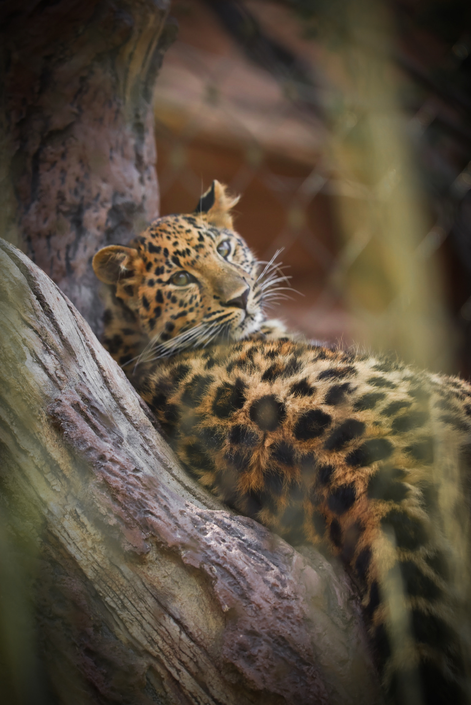 San Diego Zoo '23