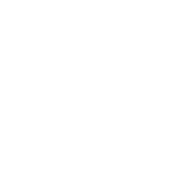 NSM Foto