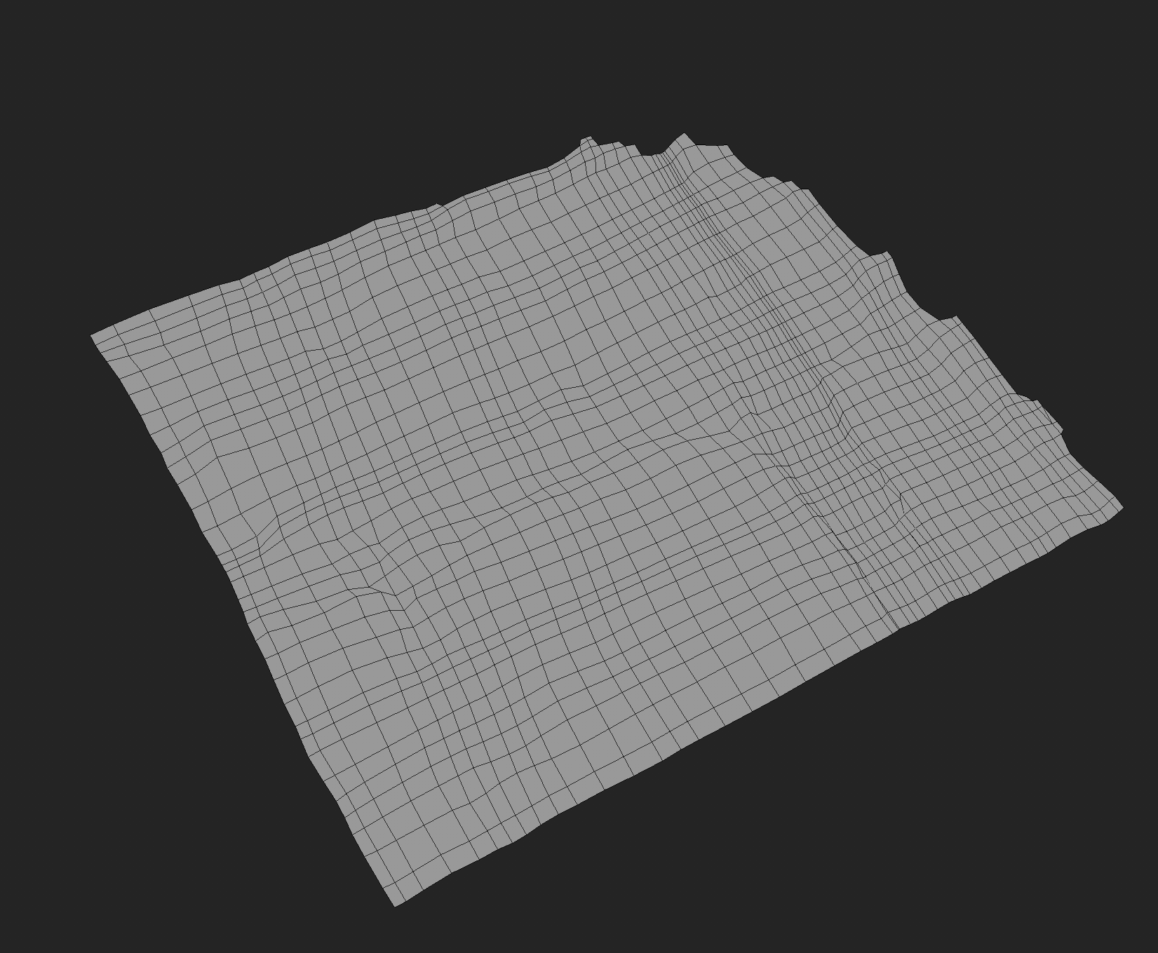Wireframe of the retopologized mesh