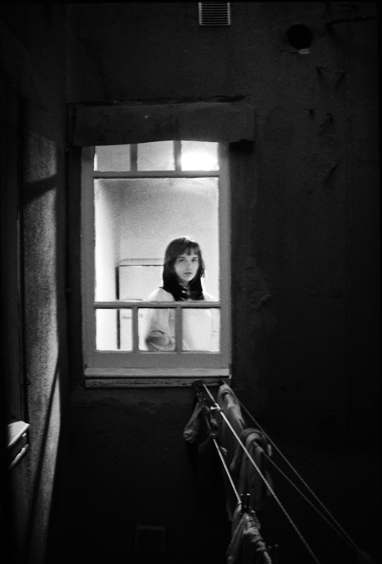 The kitchen window