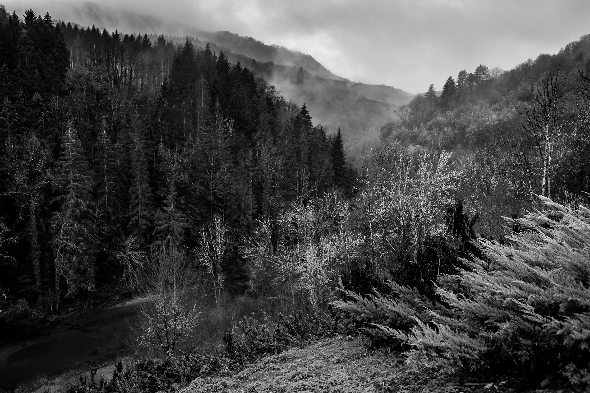 Vallée de la Loue