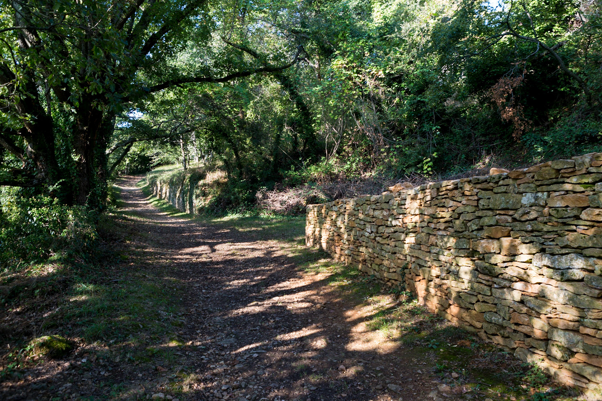 Chemin des Cabornes Poleymieux