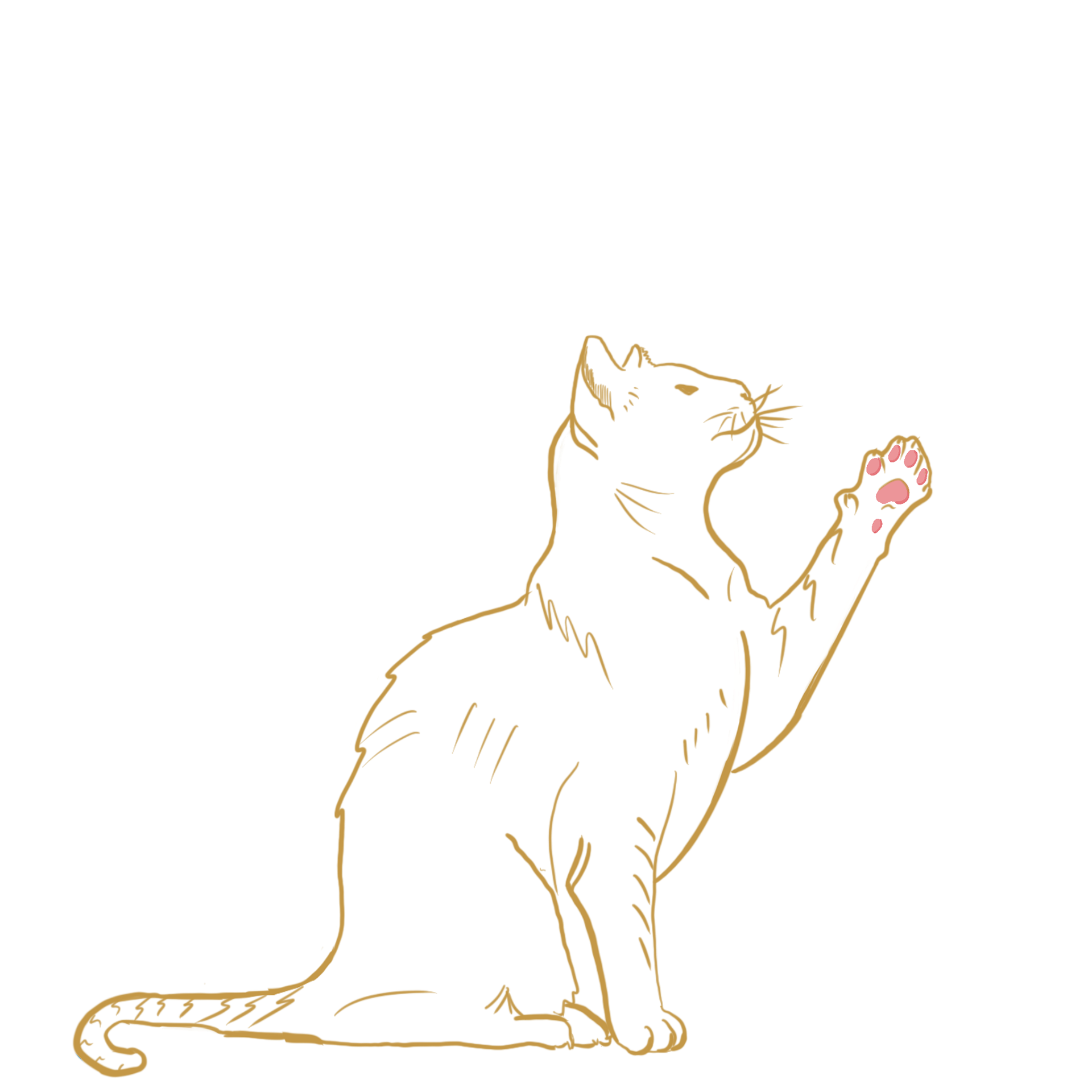 Illustration till broschyren
