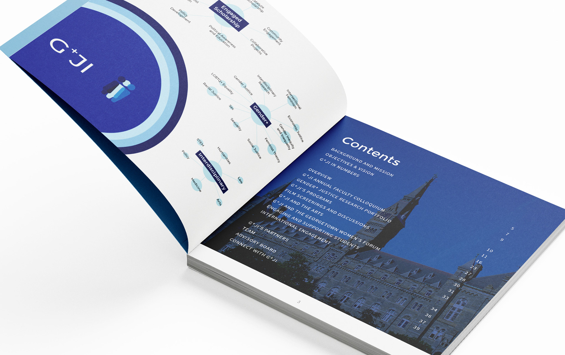 GJI Annual Report Program