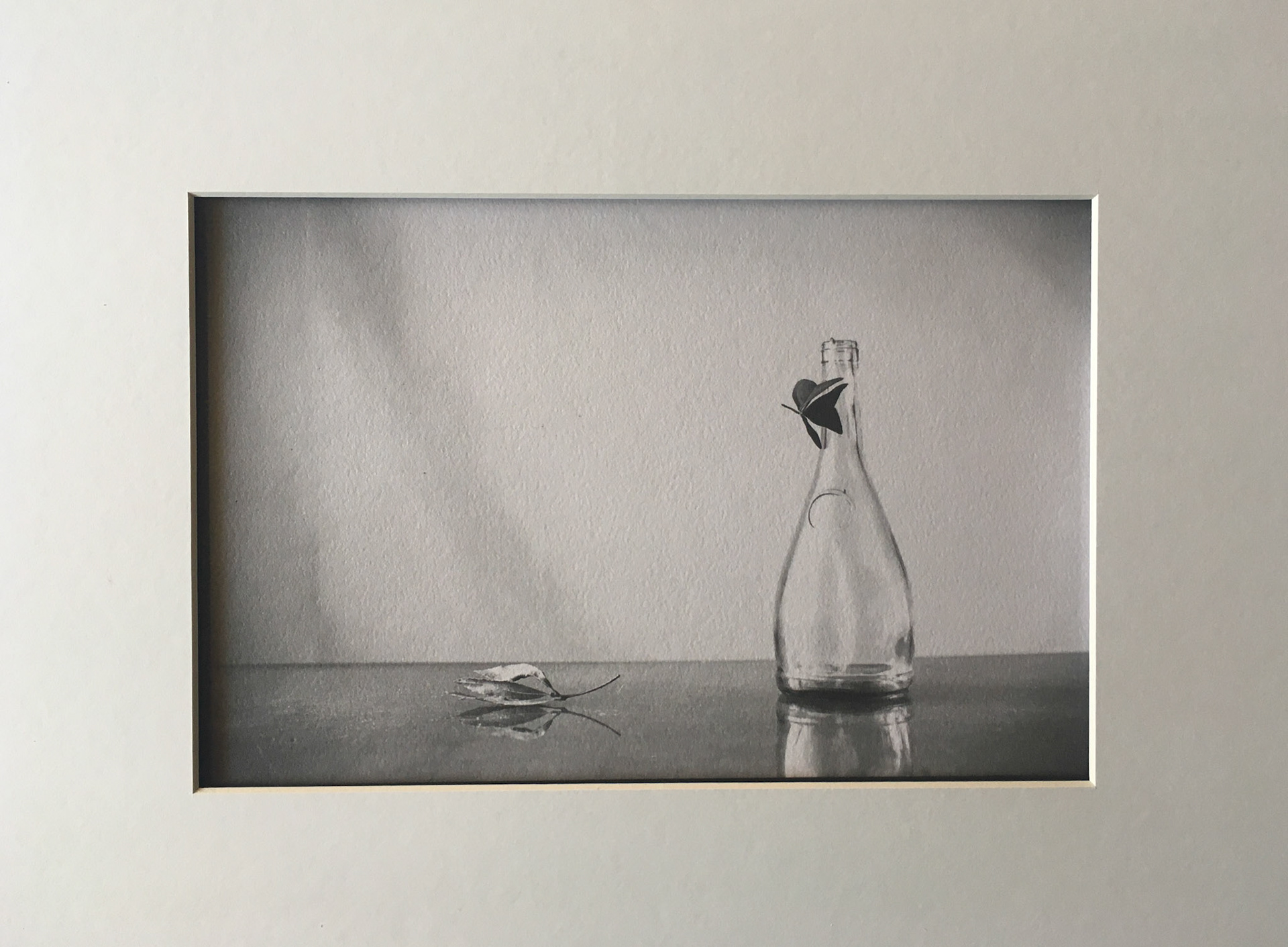 La botella y las hojas