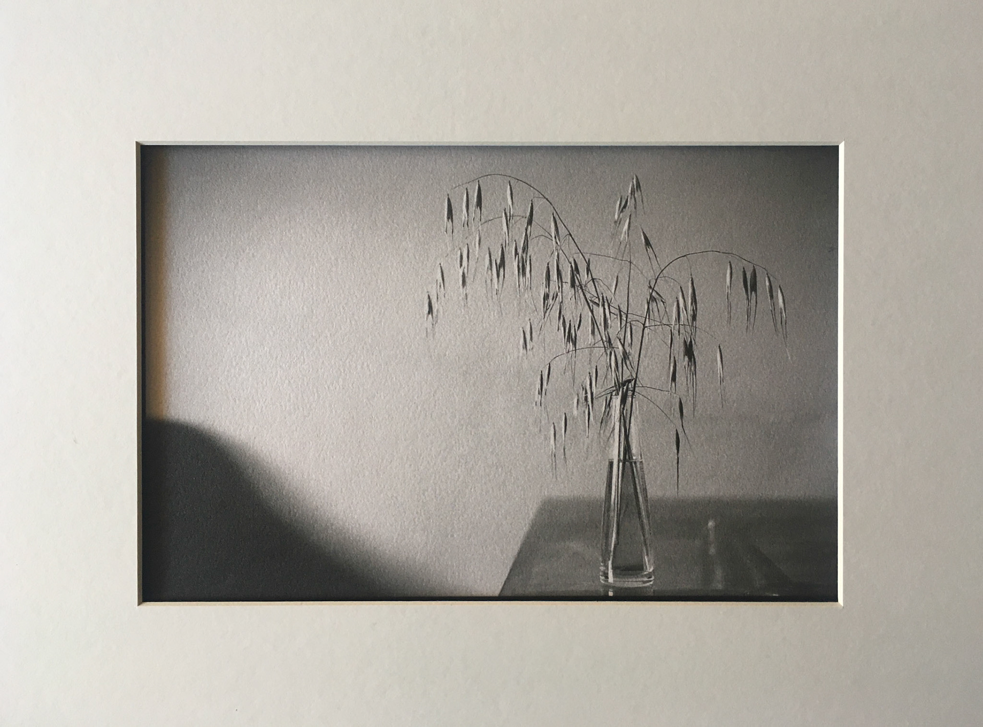 Lágrimas por la Covid 19