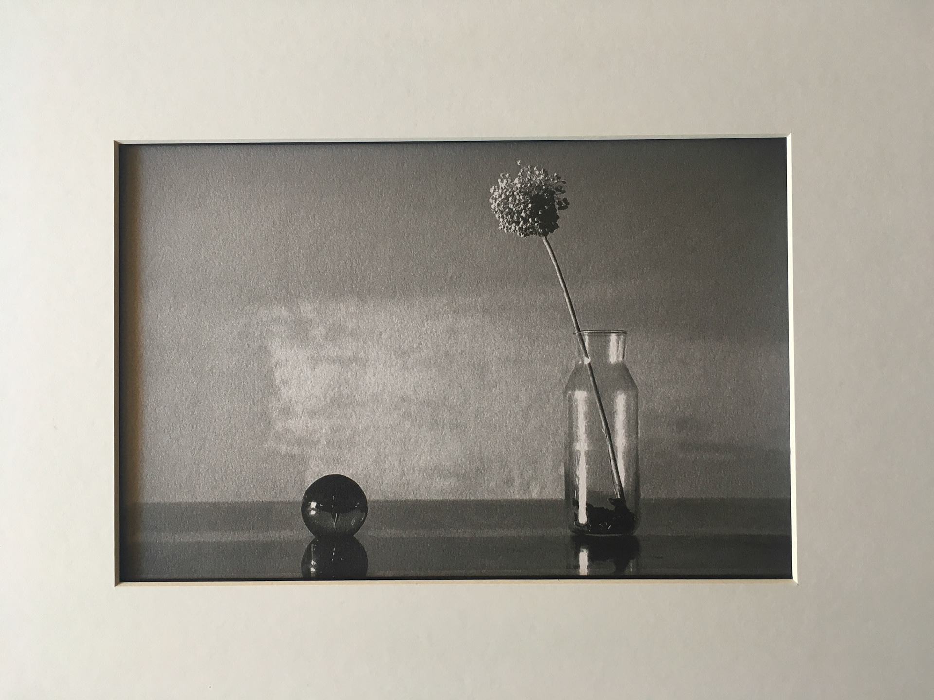 Iguales pero diferentes