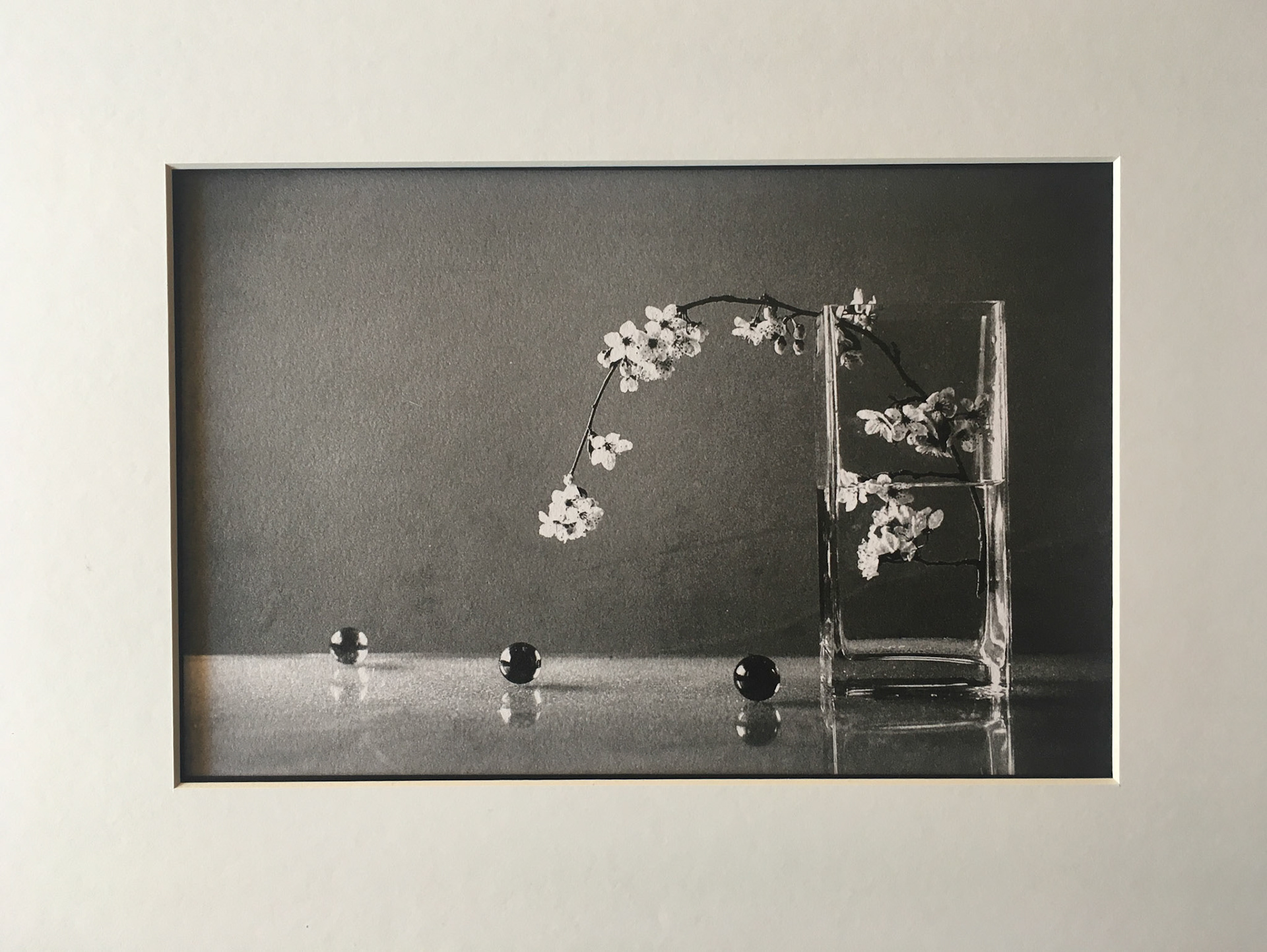 Primavera de cristal