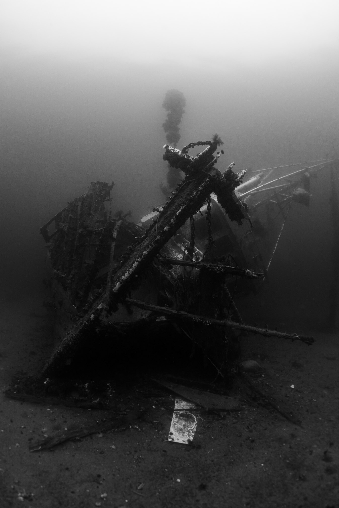 Wreck in Saltstraumen
