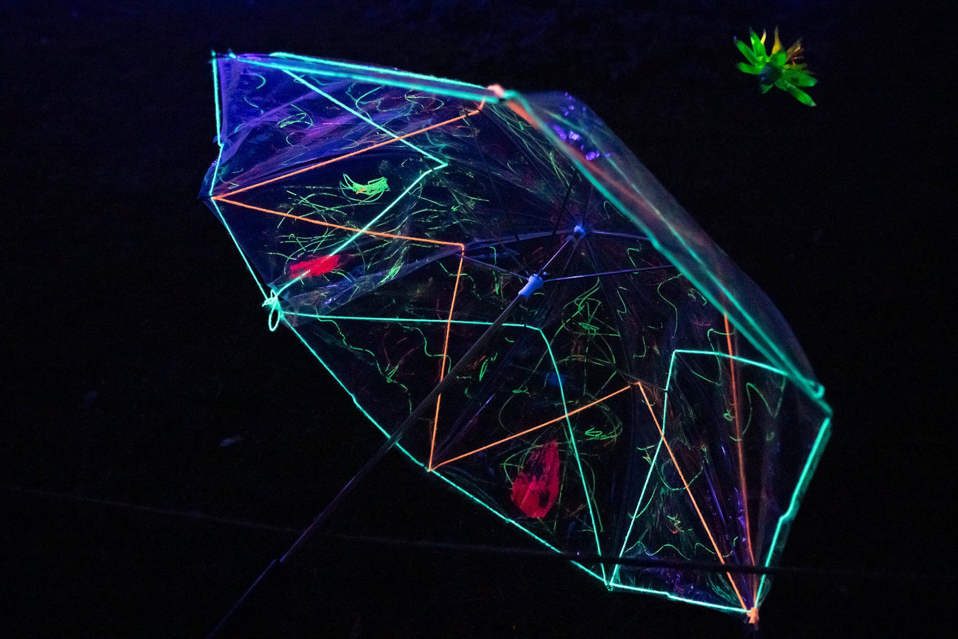 Festival des Lumières, Morat