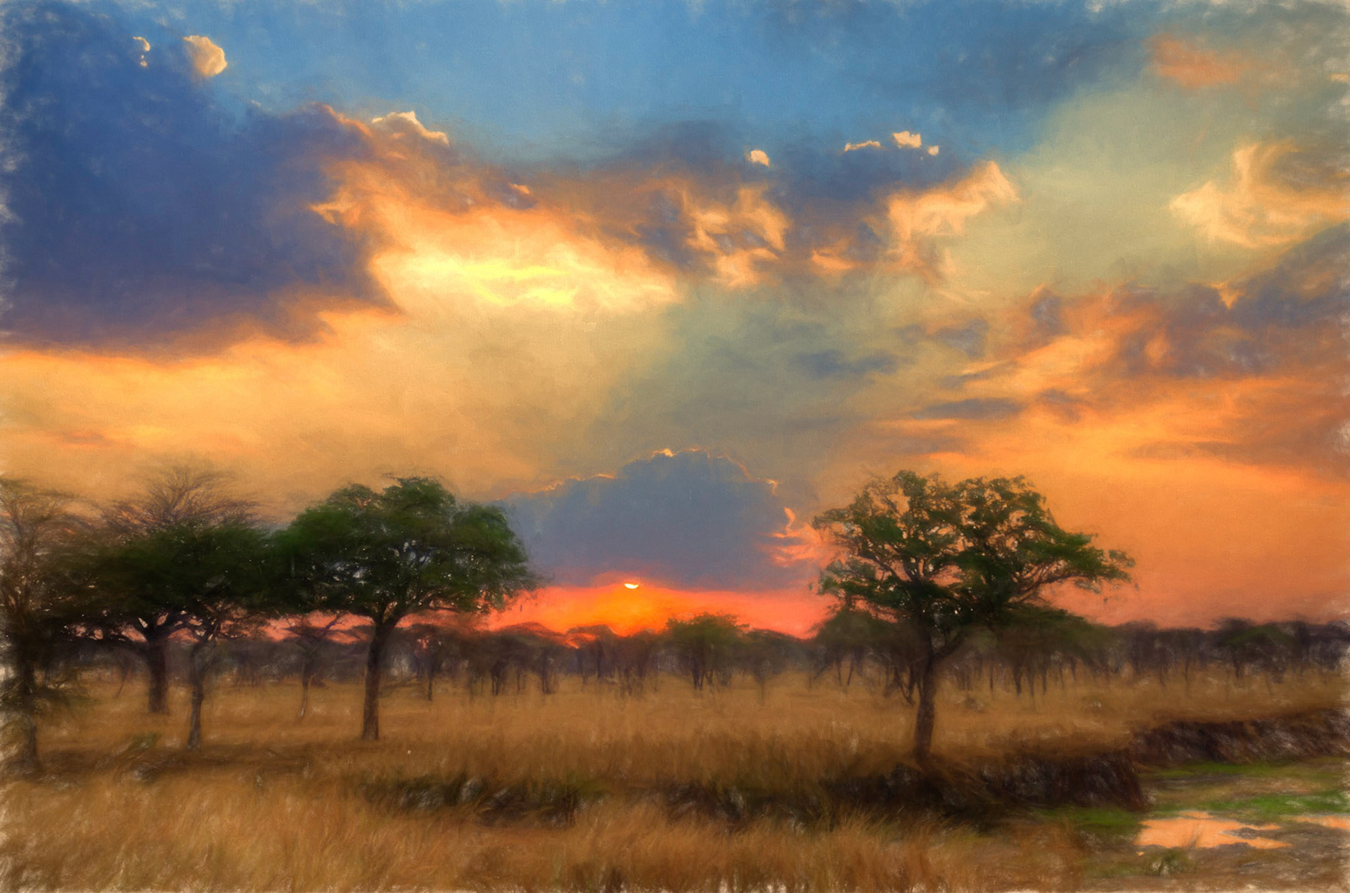 pastel safari sunset