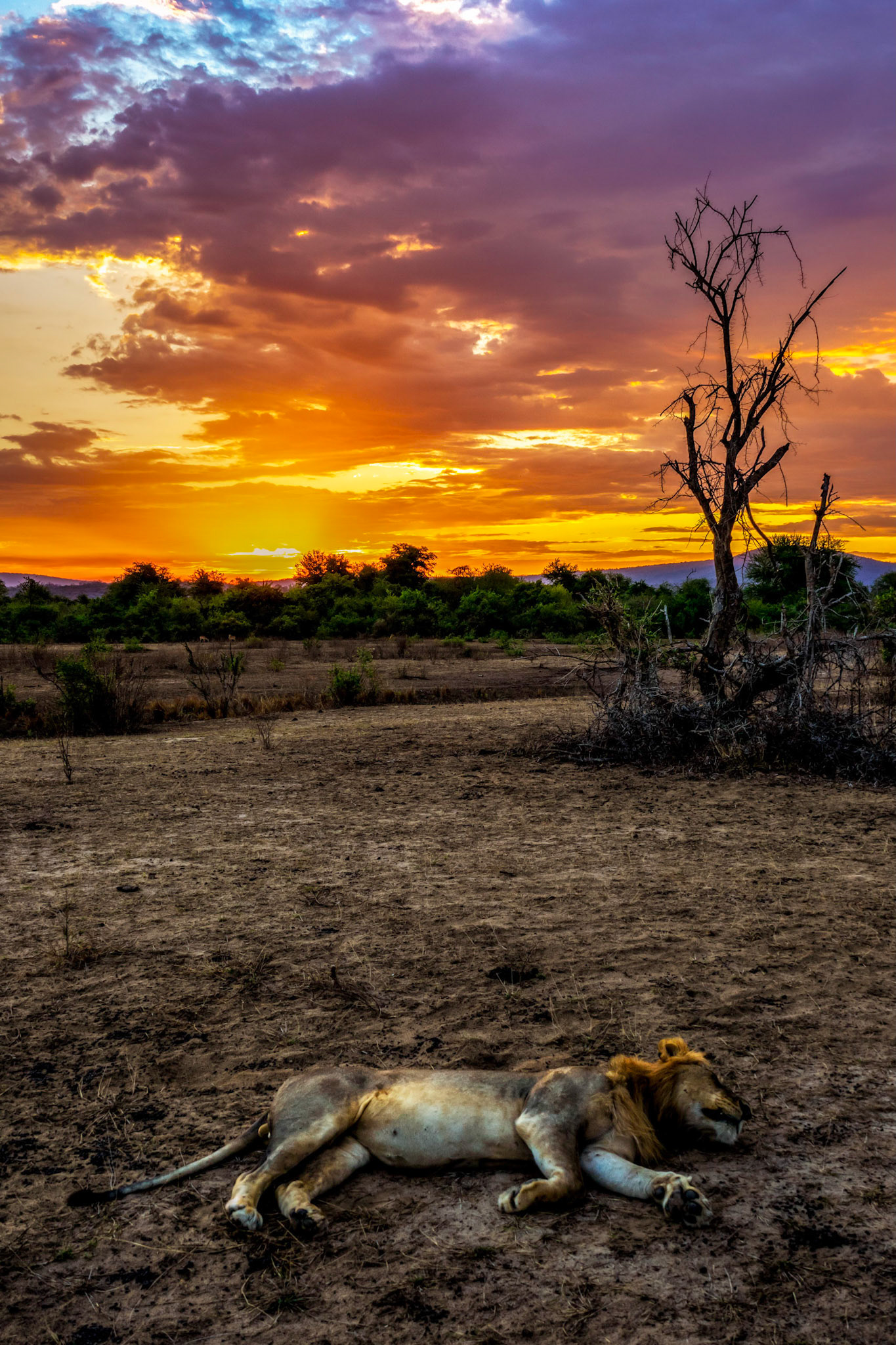Selous Game Reserve, Tanzania