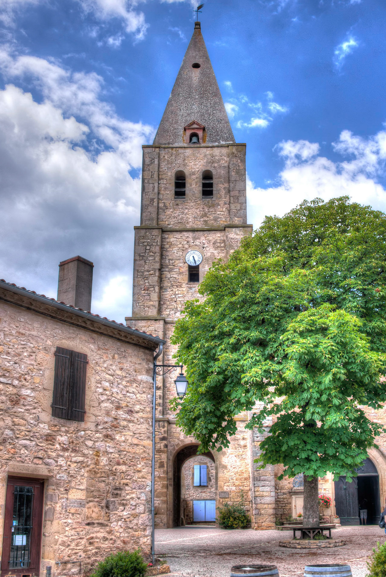 Puycelci spire & tree