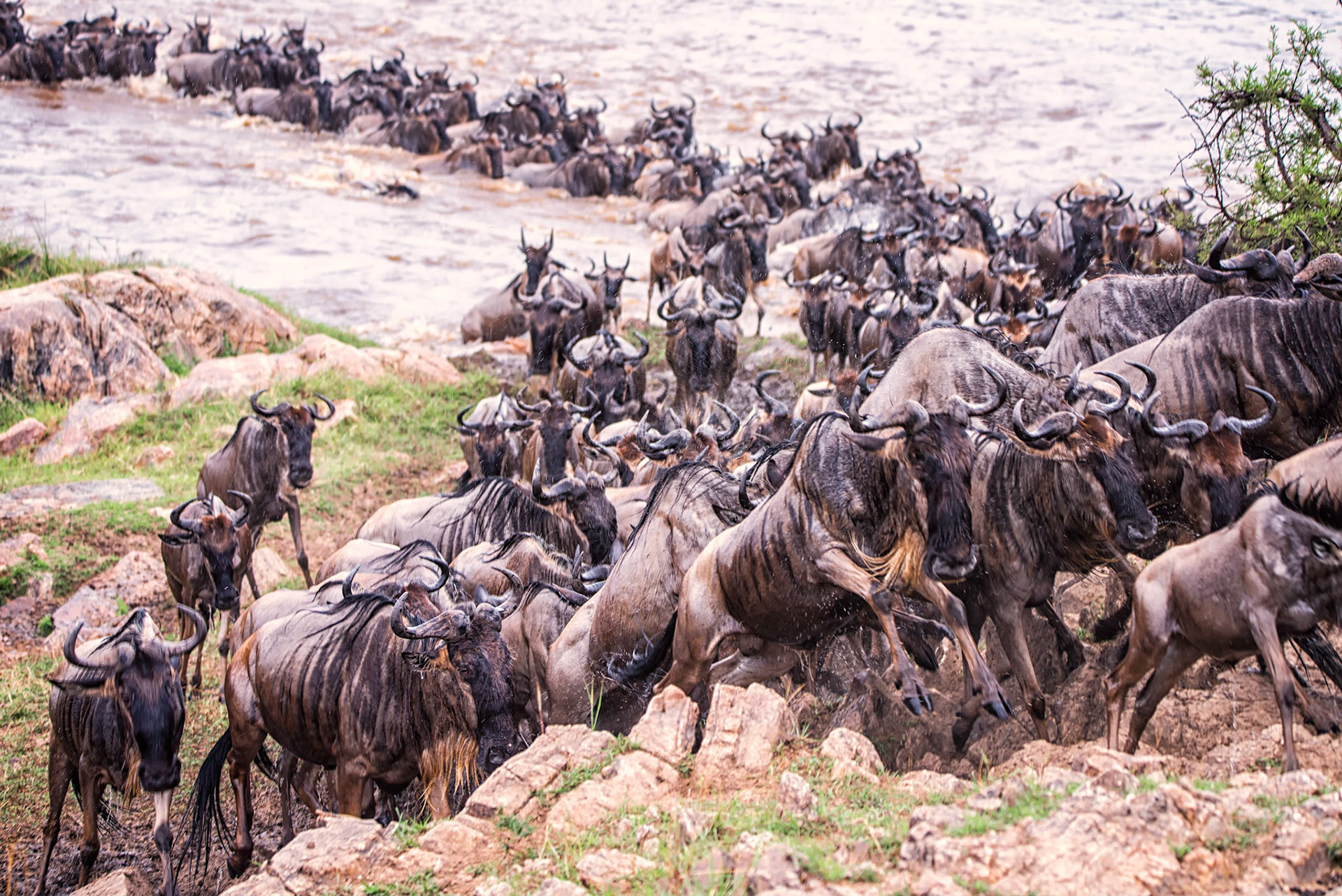 escaping the Mara