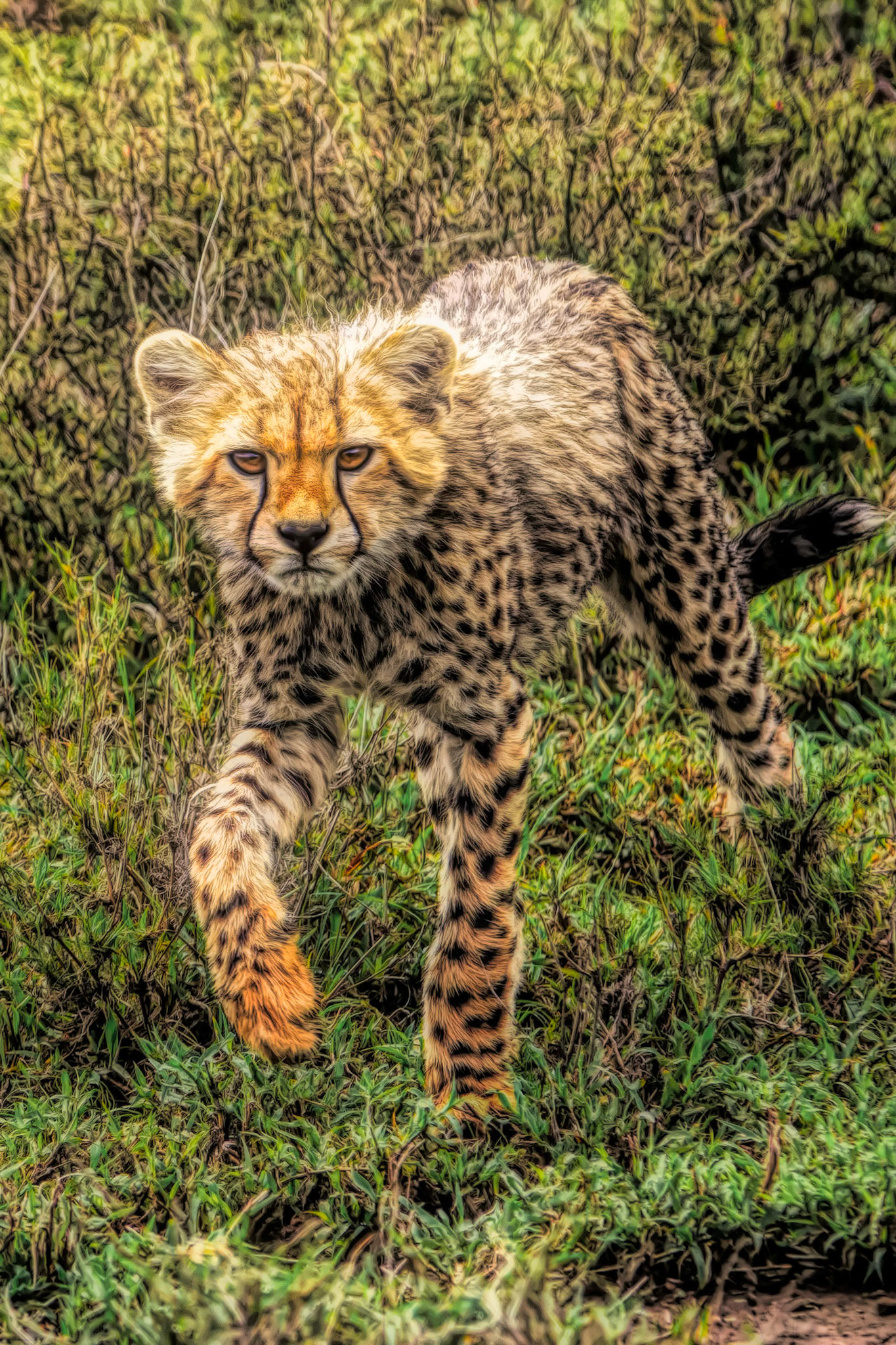 He's coming for you...