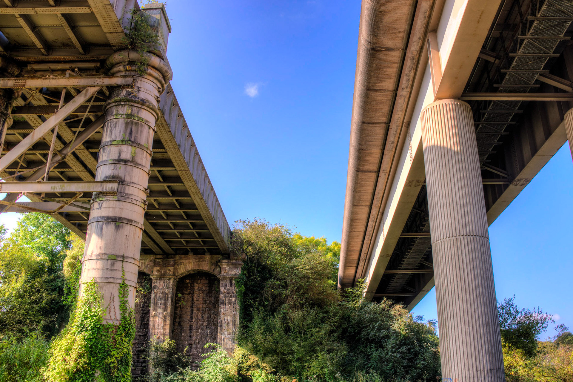 bridges into the bush