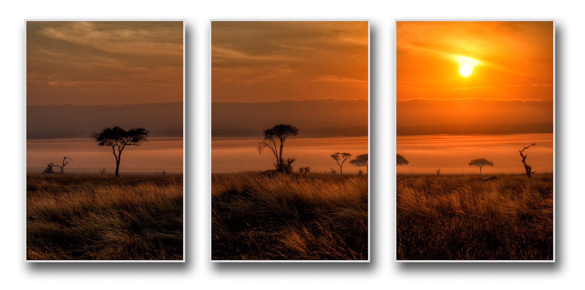 a sea of morning mist