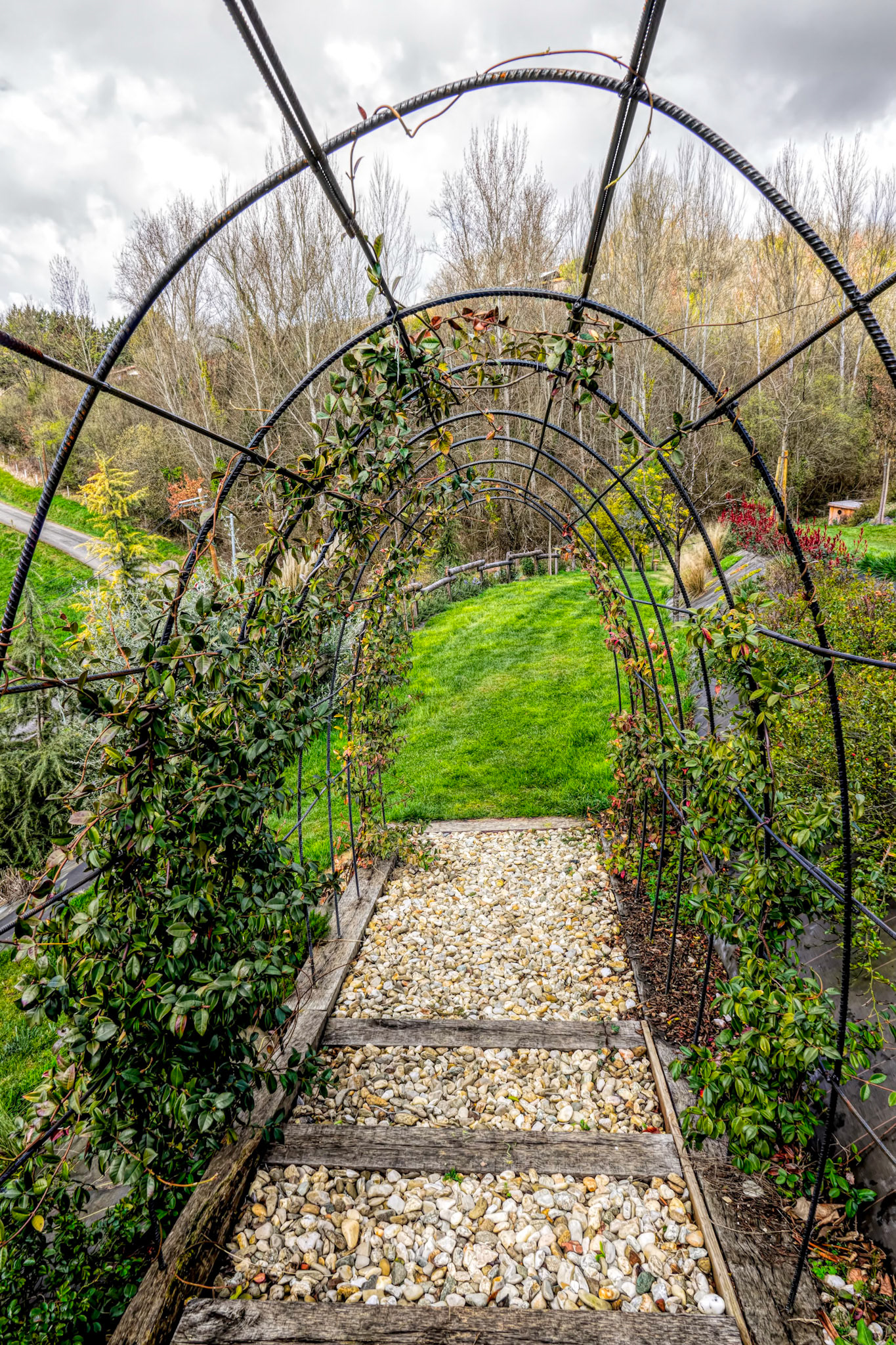 The grass at the end of the tunnel