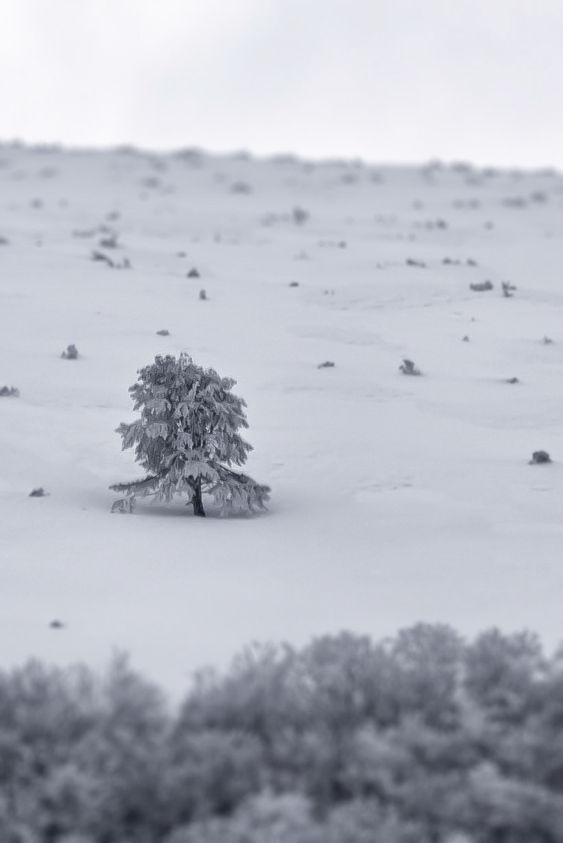 cold and alone