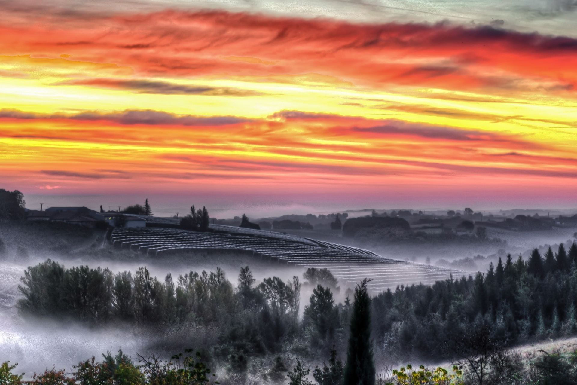 sunrise over orchard