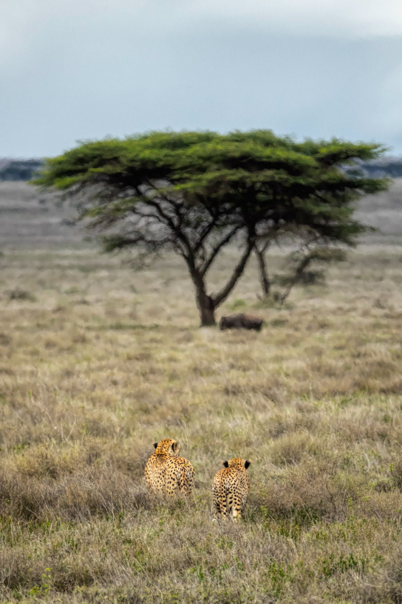 starting the approach