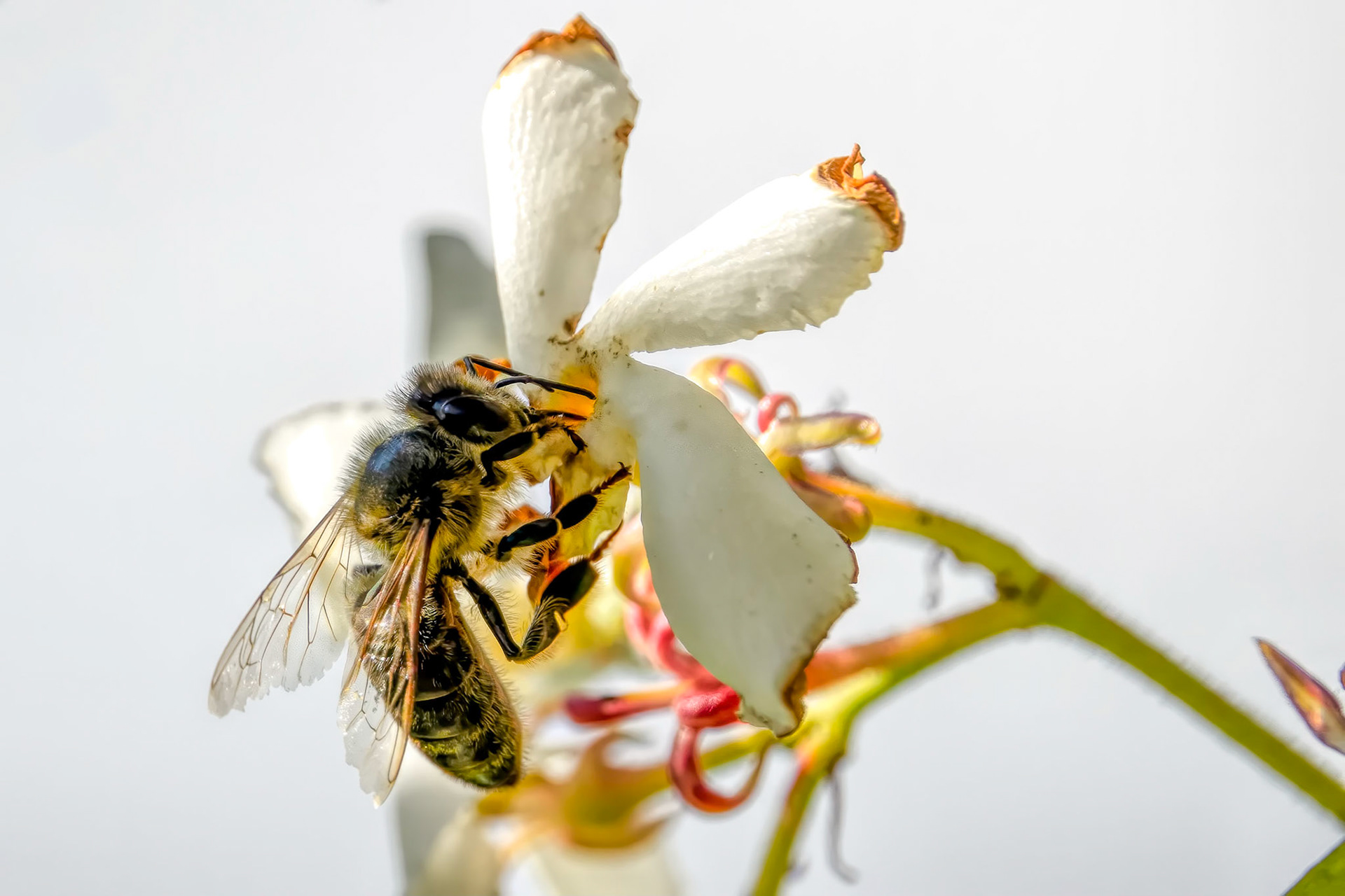 I think I can see something down here,,,