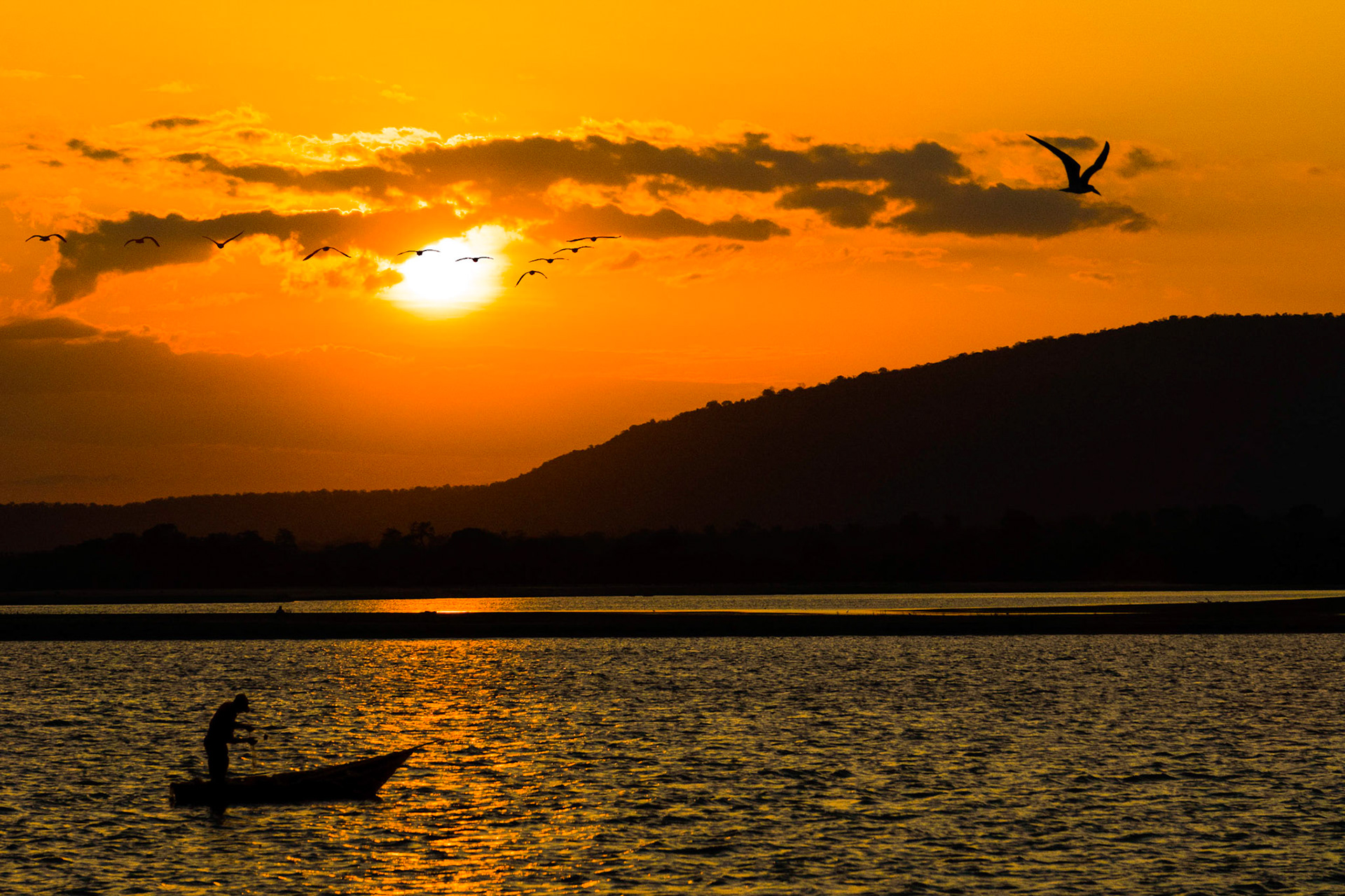 birds above and fish below
