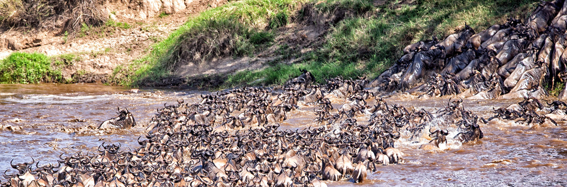 crossing the Mara