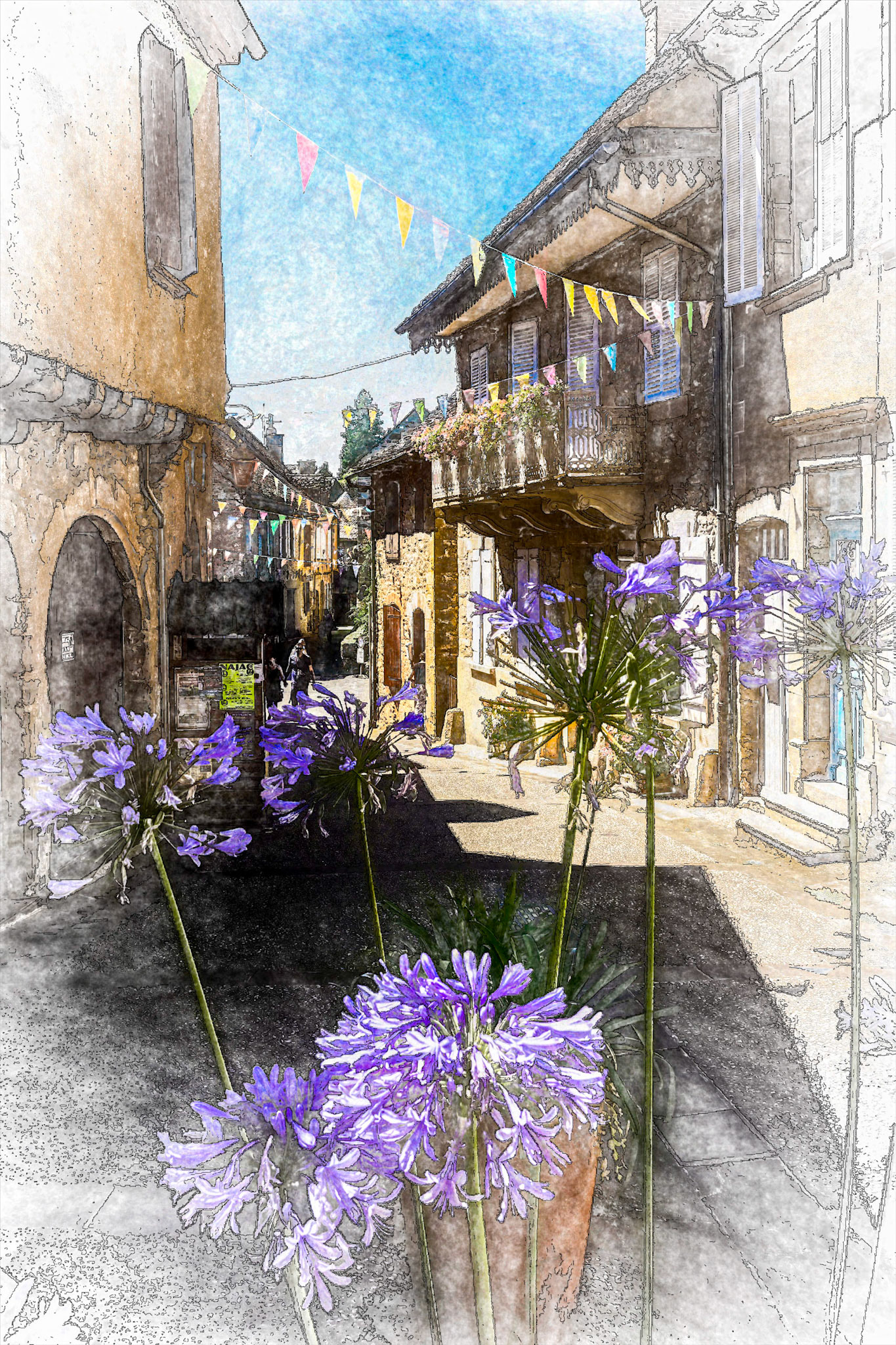 Tulbaghia in Najac