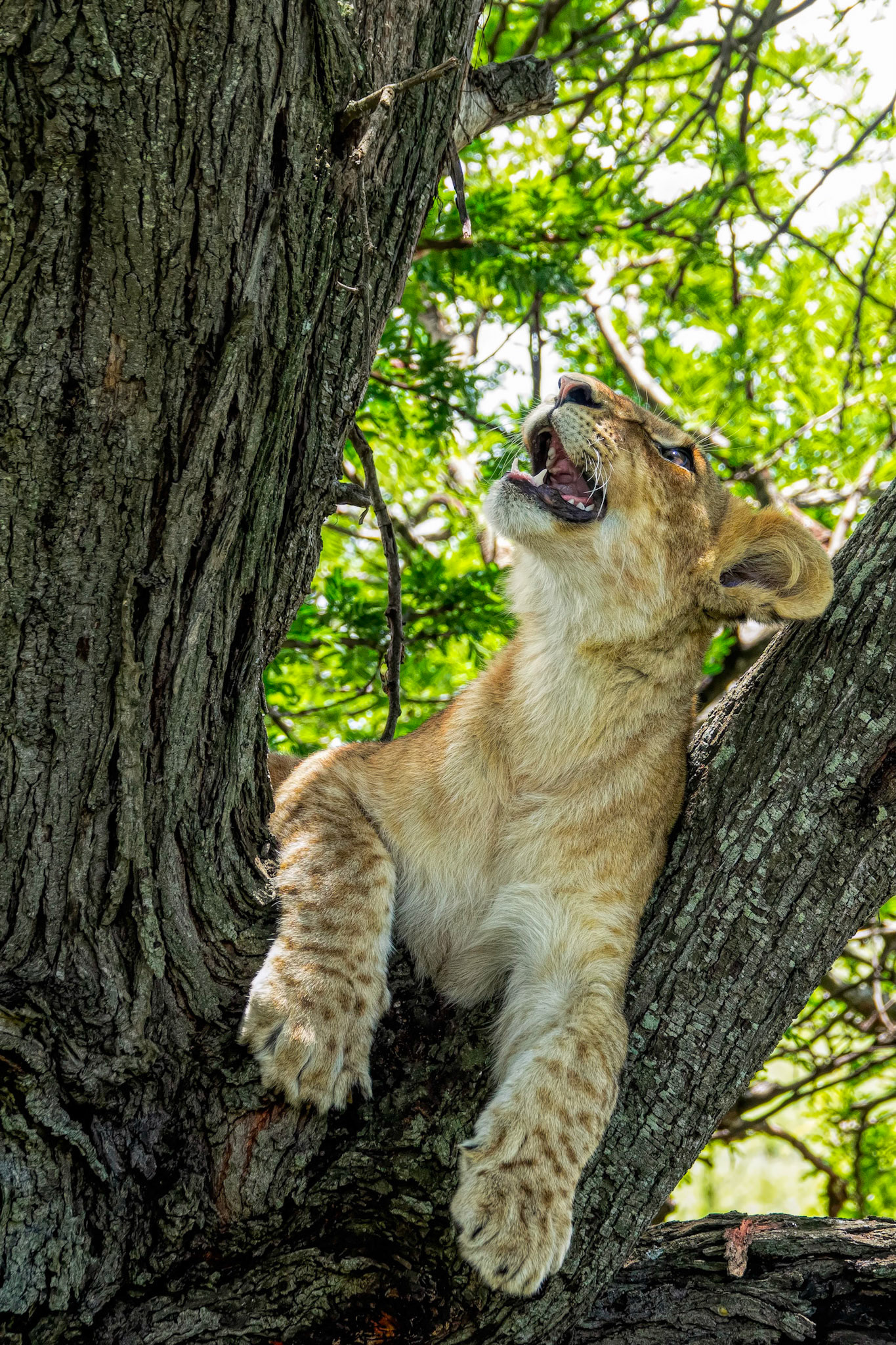 things are looking up