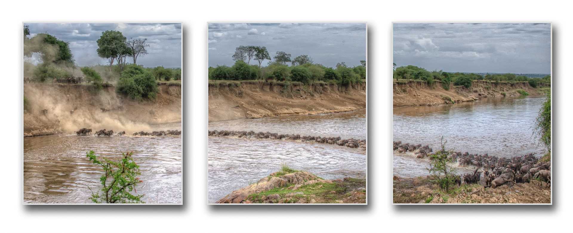 The Mara Crossing - Triptych