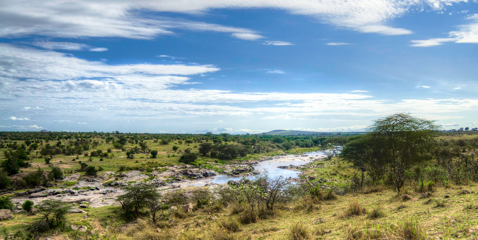 The Mara River