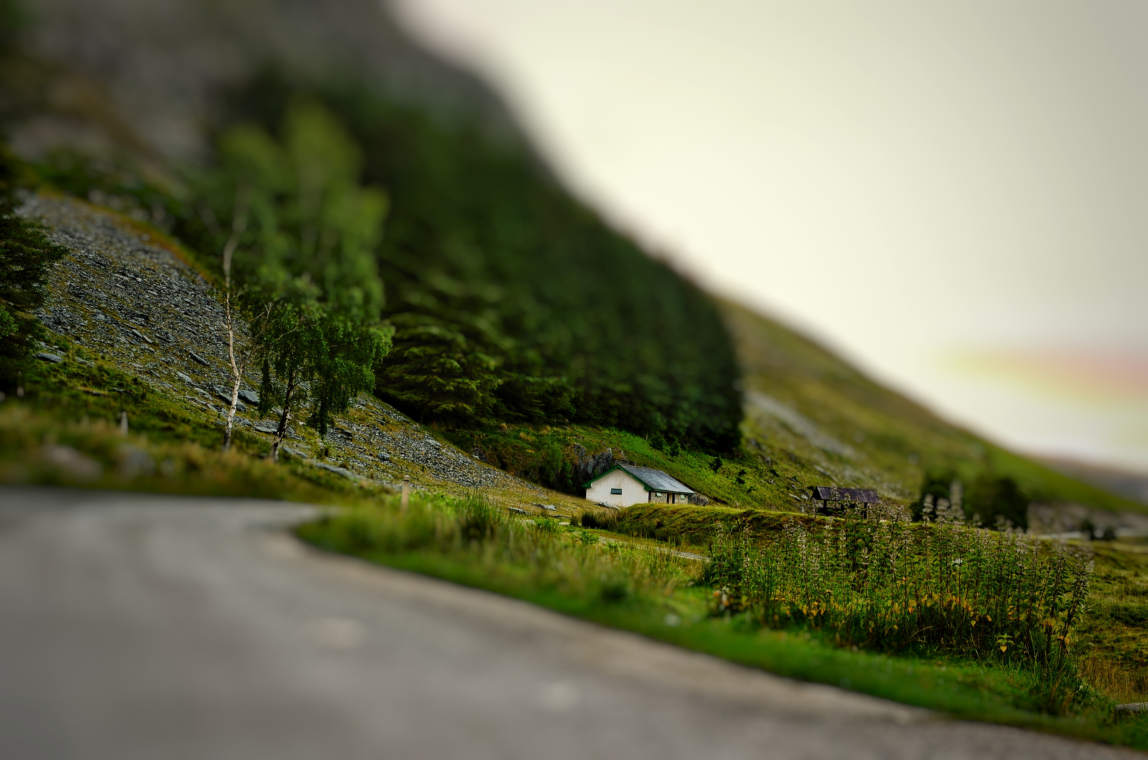 ELAN VALLEY
