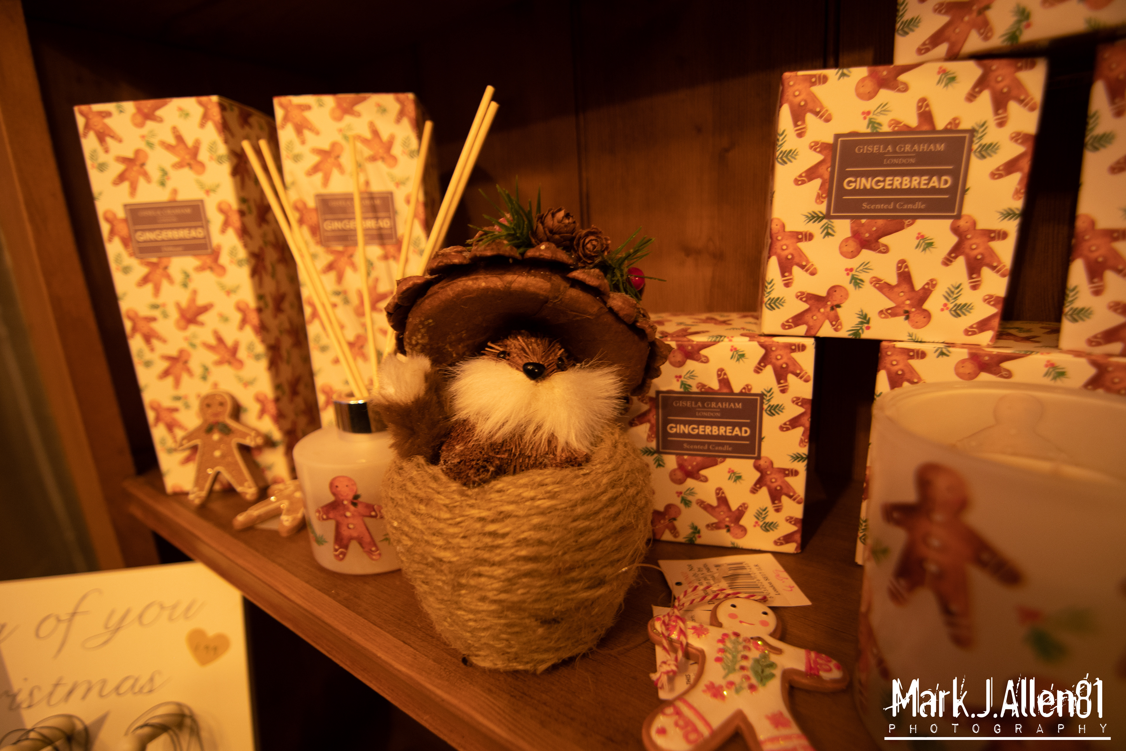 THE LITTLE CHRISTMAS SHOP - NATURAL/AVAILABLE LIGHTING