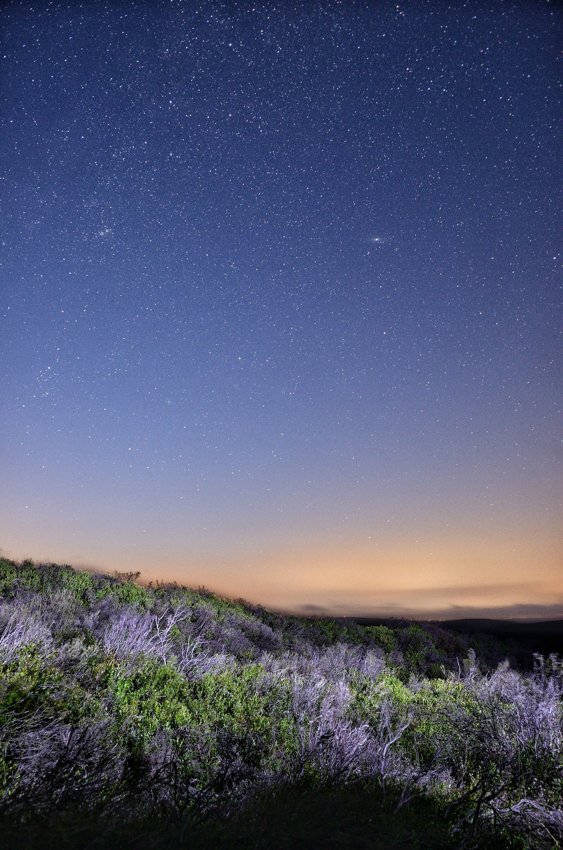 LONG MYND