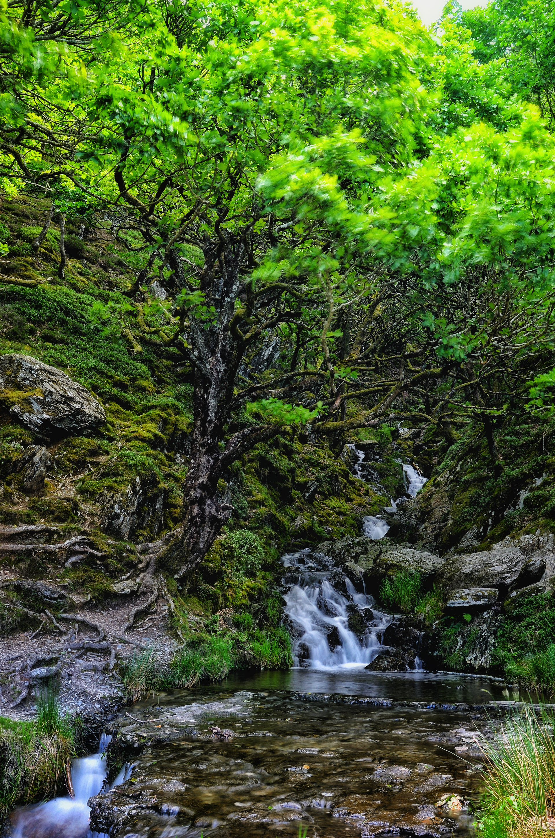 ELAN VALLEY