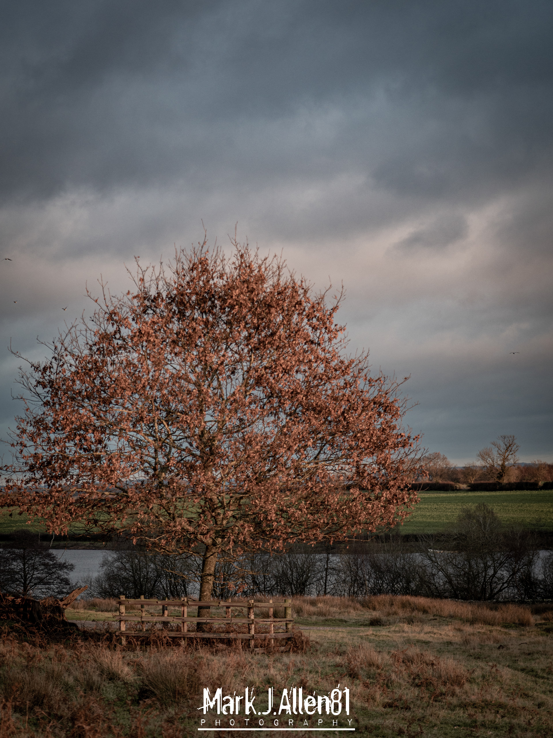 BRADGATE PARK