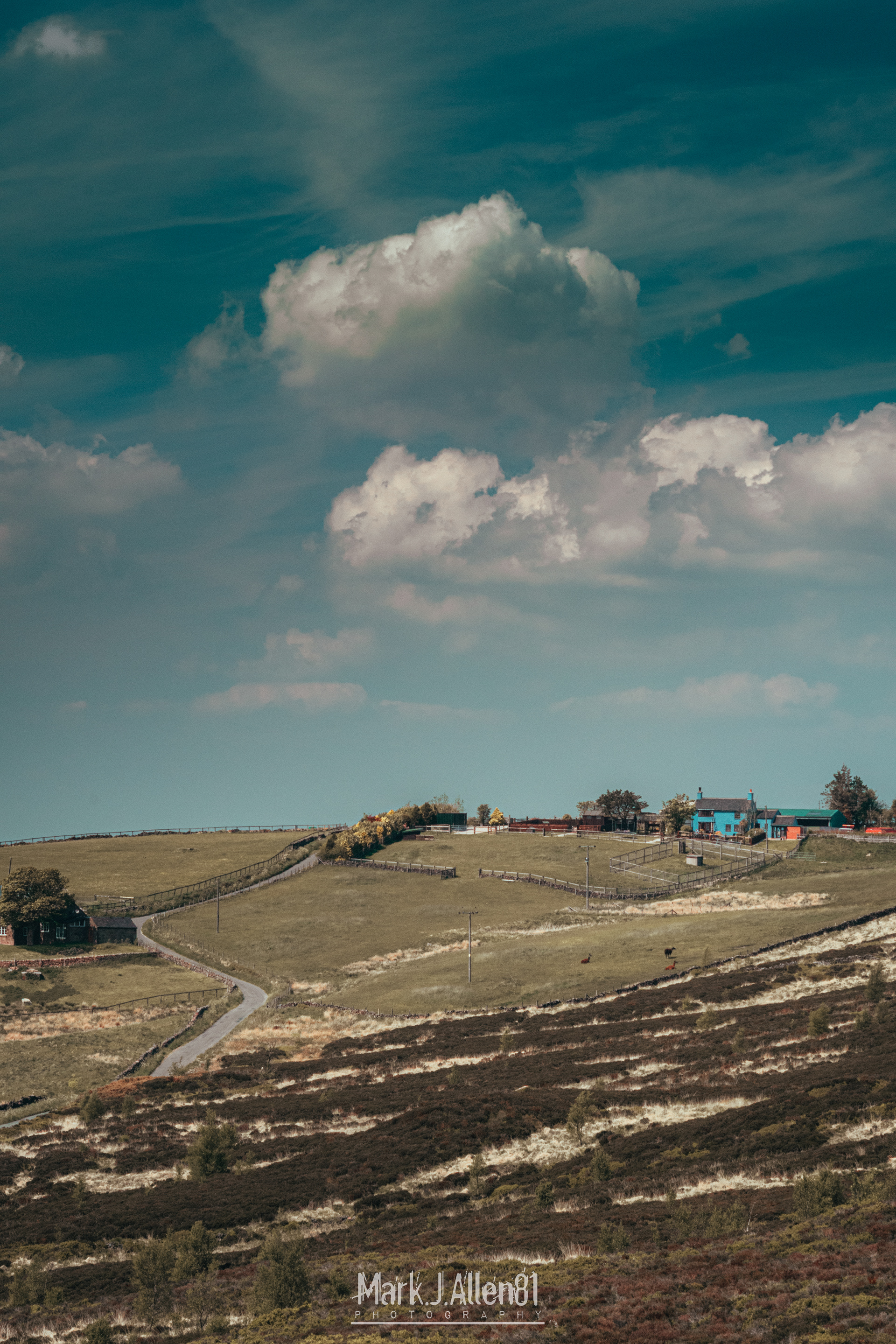 RAMSHAW ROCKS