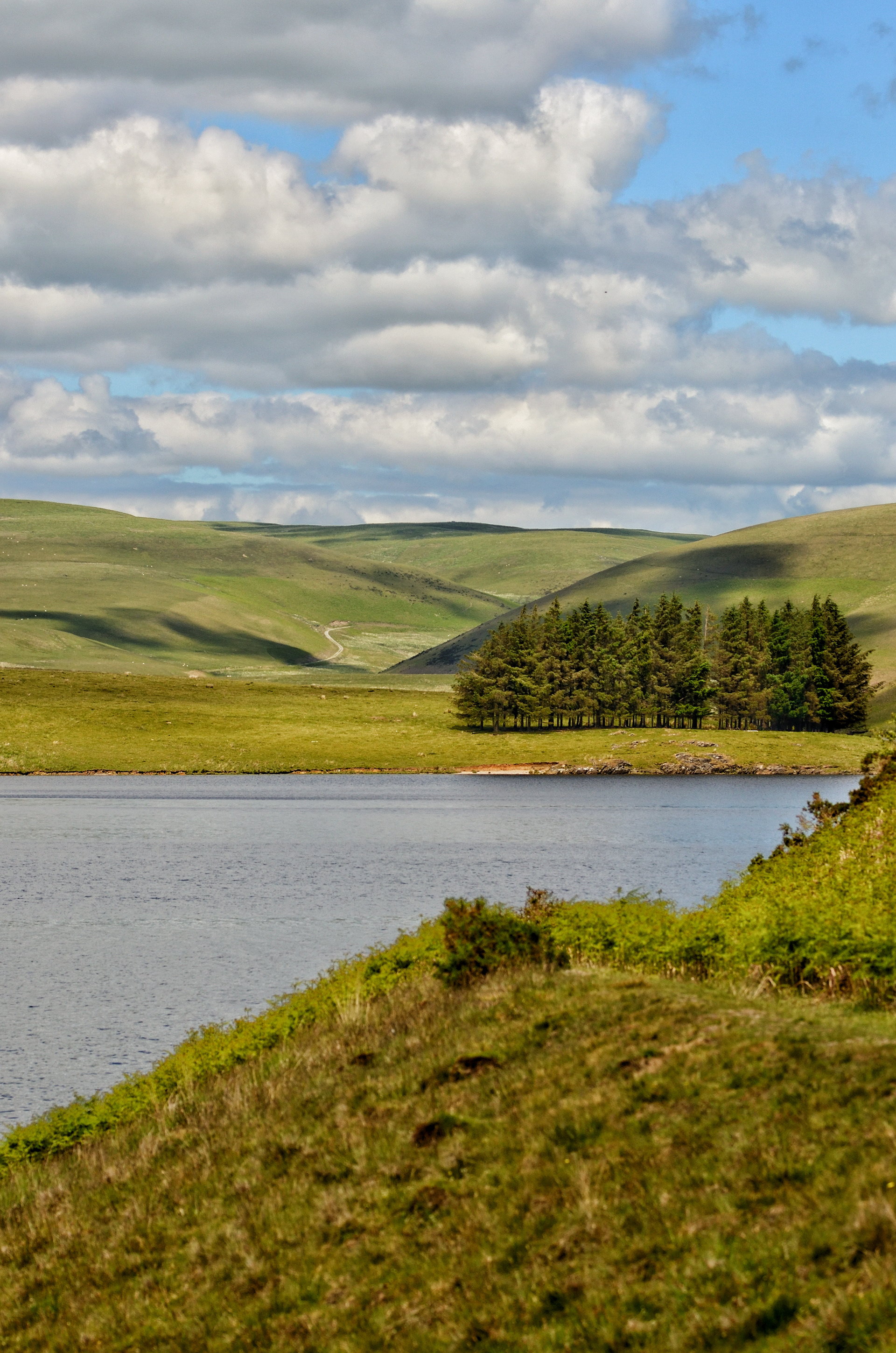 ELAN VALLEY
