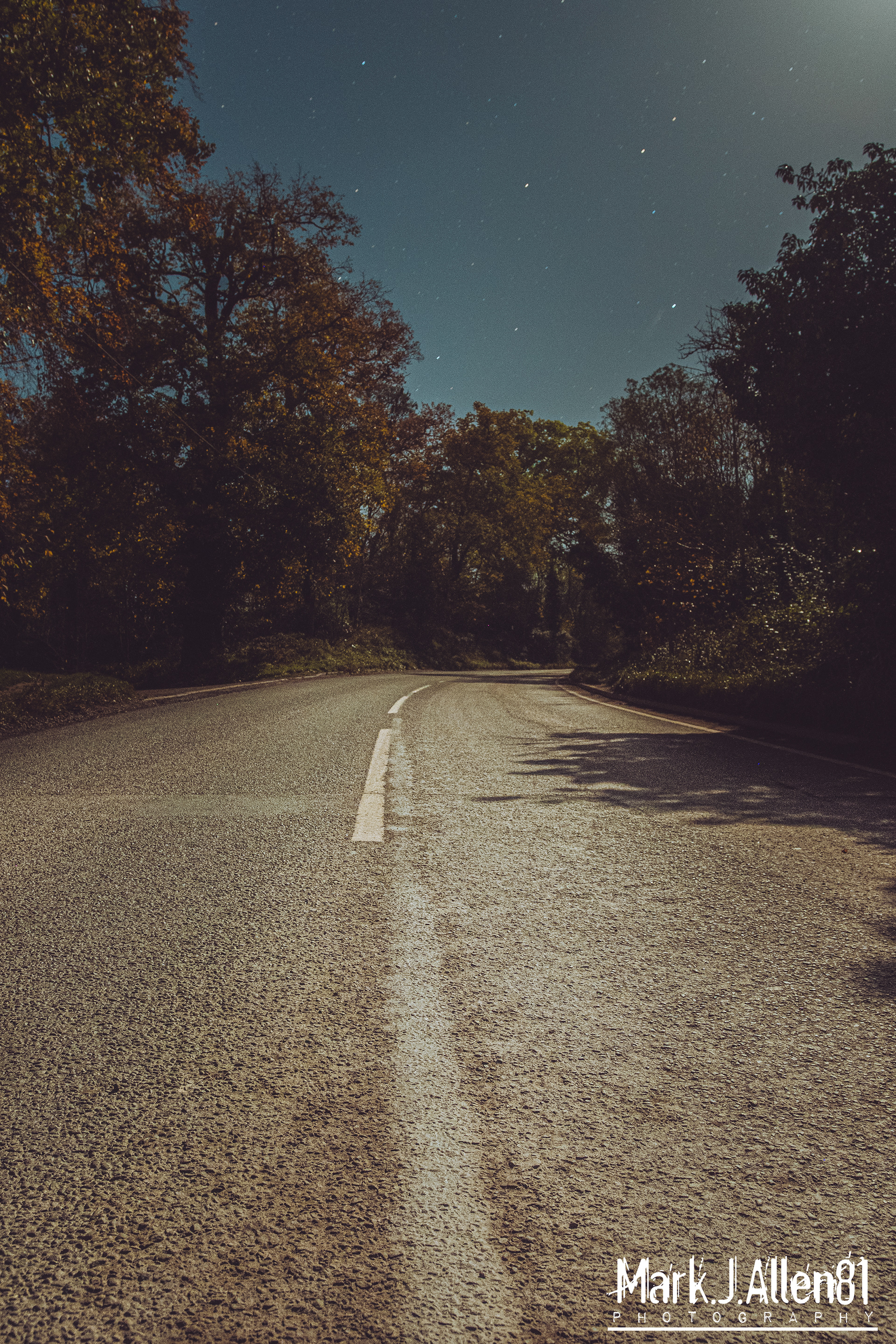 MOONLIT RURAL ROAD
