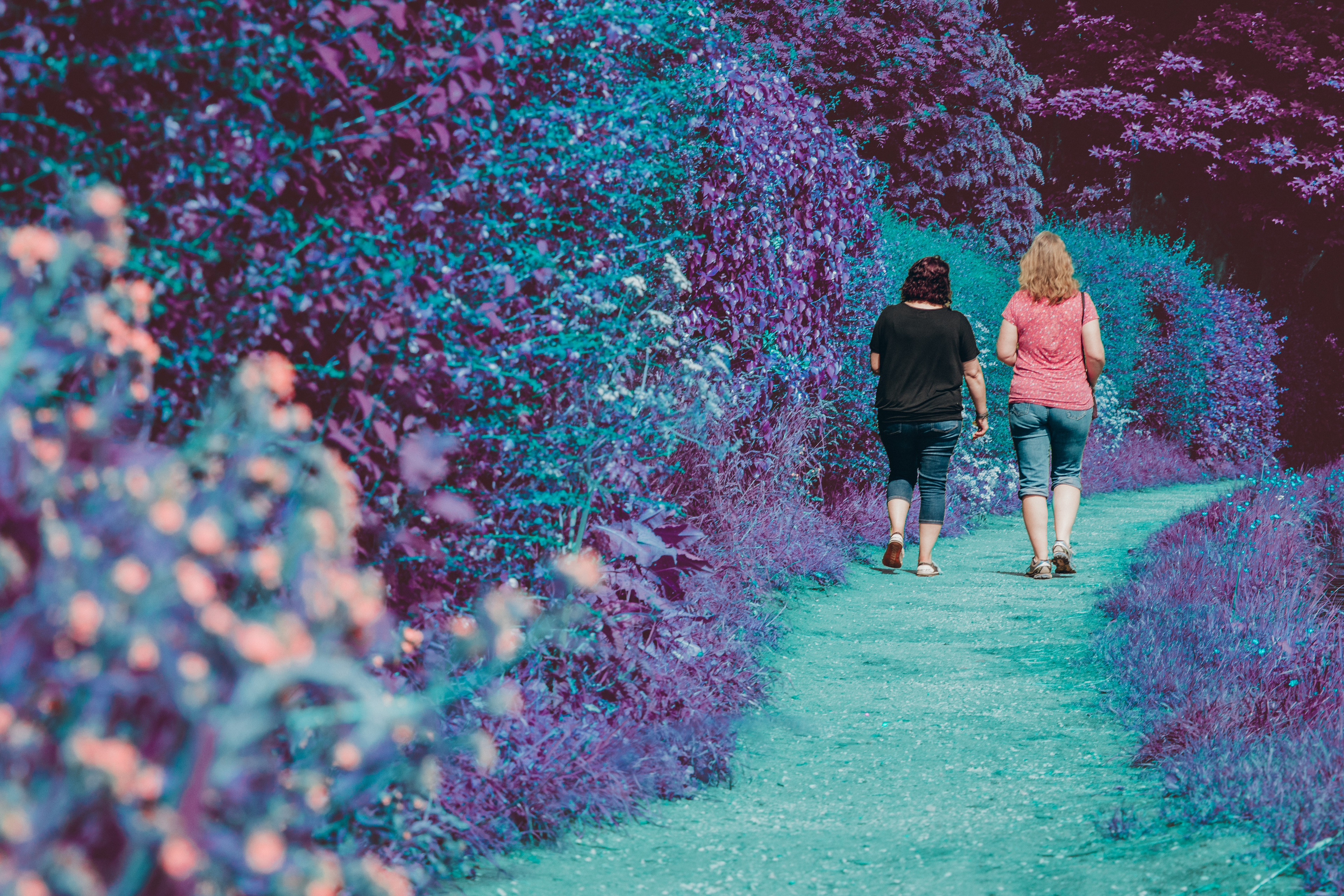 SHOT FOR BEYOND COUNSELLING - NATURAL/AVAILABLE LIGHTING