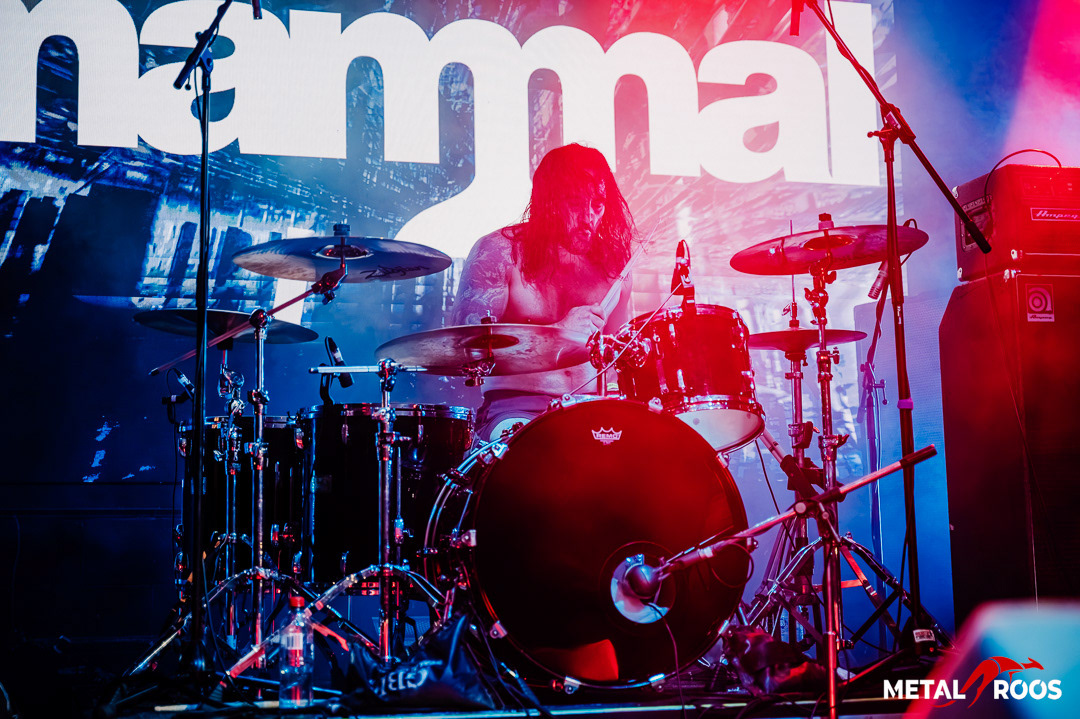 MAMMAL