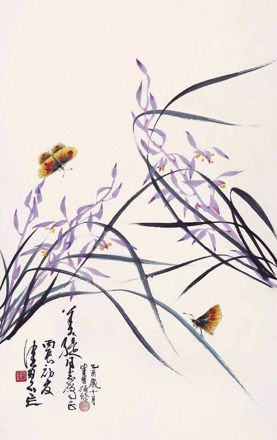 Lan, Orchid