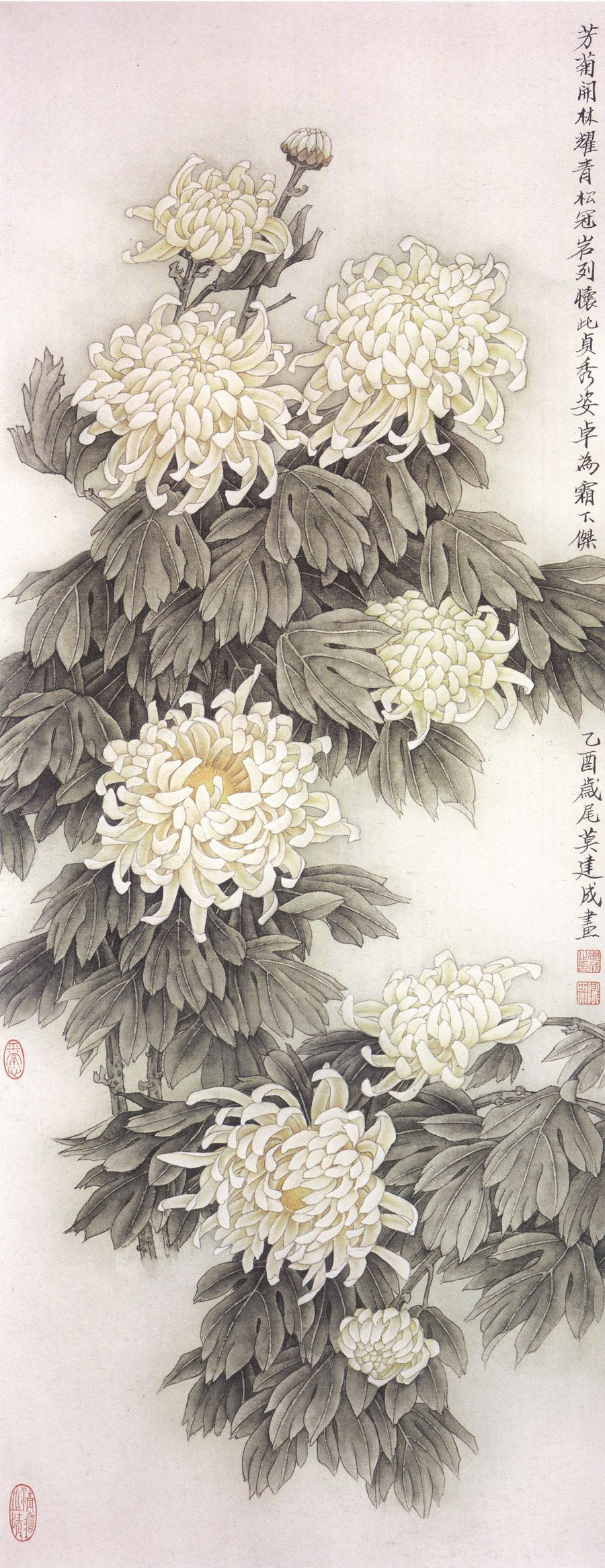 Juu, Crysanthemum