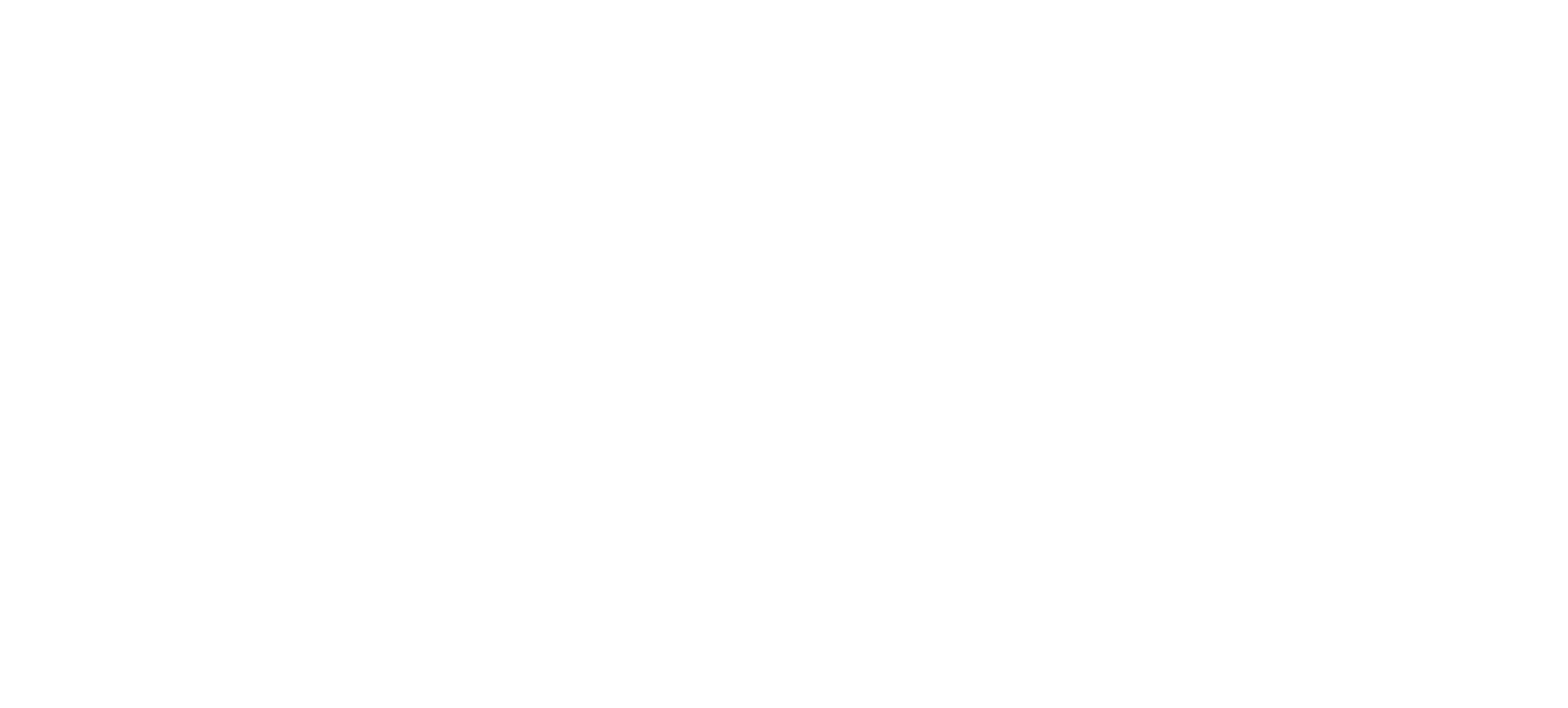 White Alternate Logo